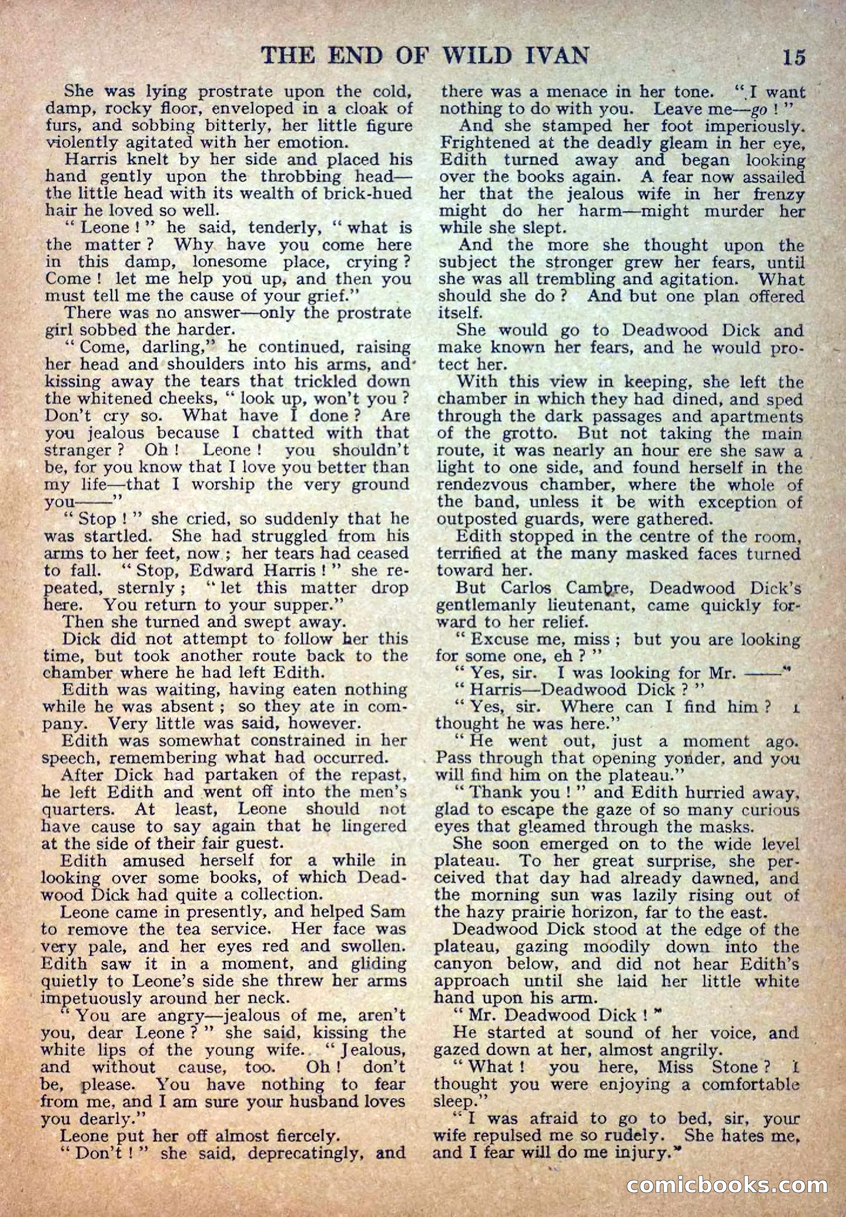 Deadwood Dick Library, No. 5 — page 17 of 36