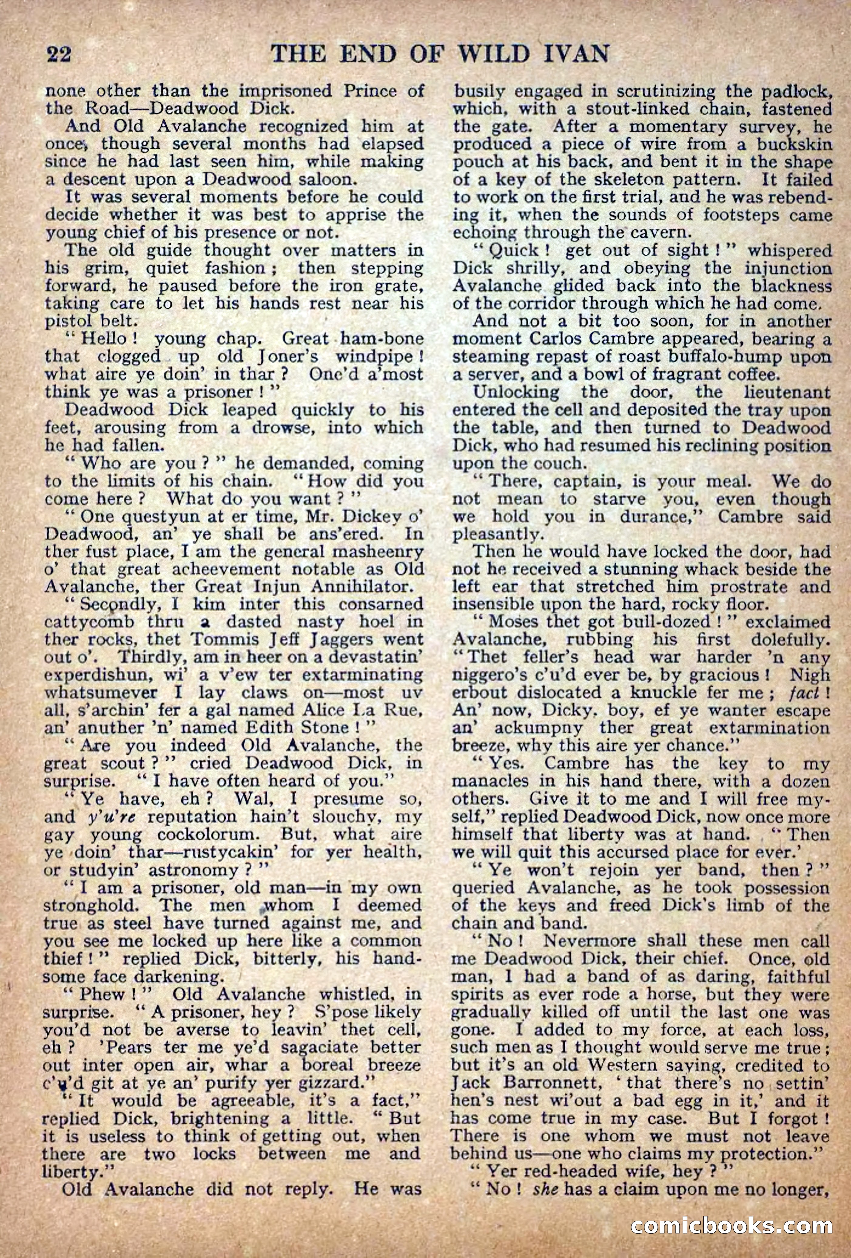 Deadwood Dick Library, No. 5 — page 24 of 36