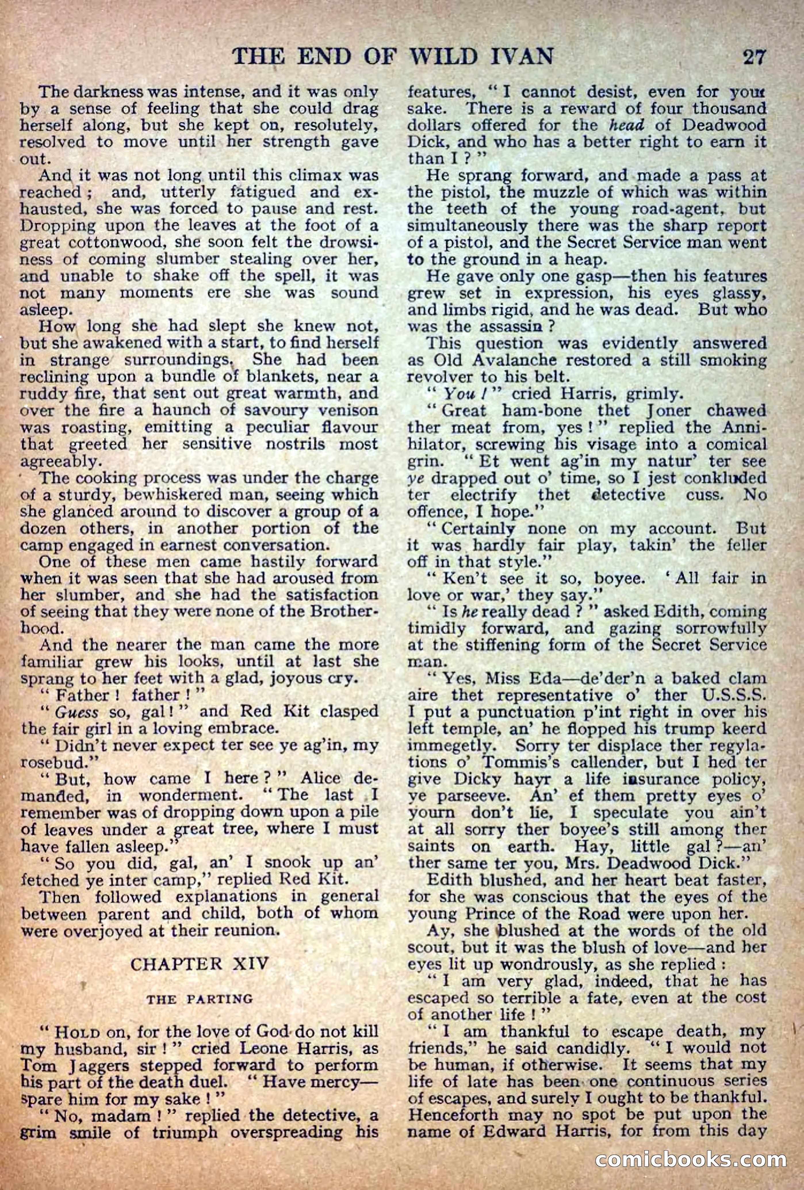 Deadwood Dick Library, No. 5 — page 29 of 36