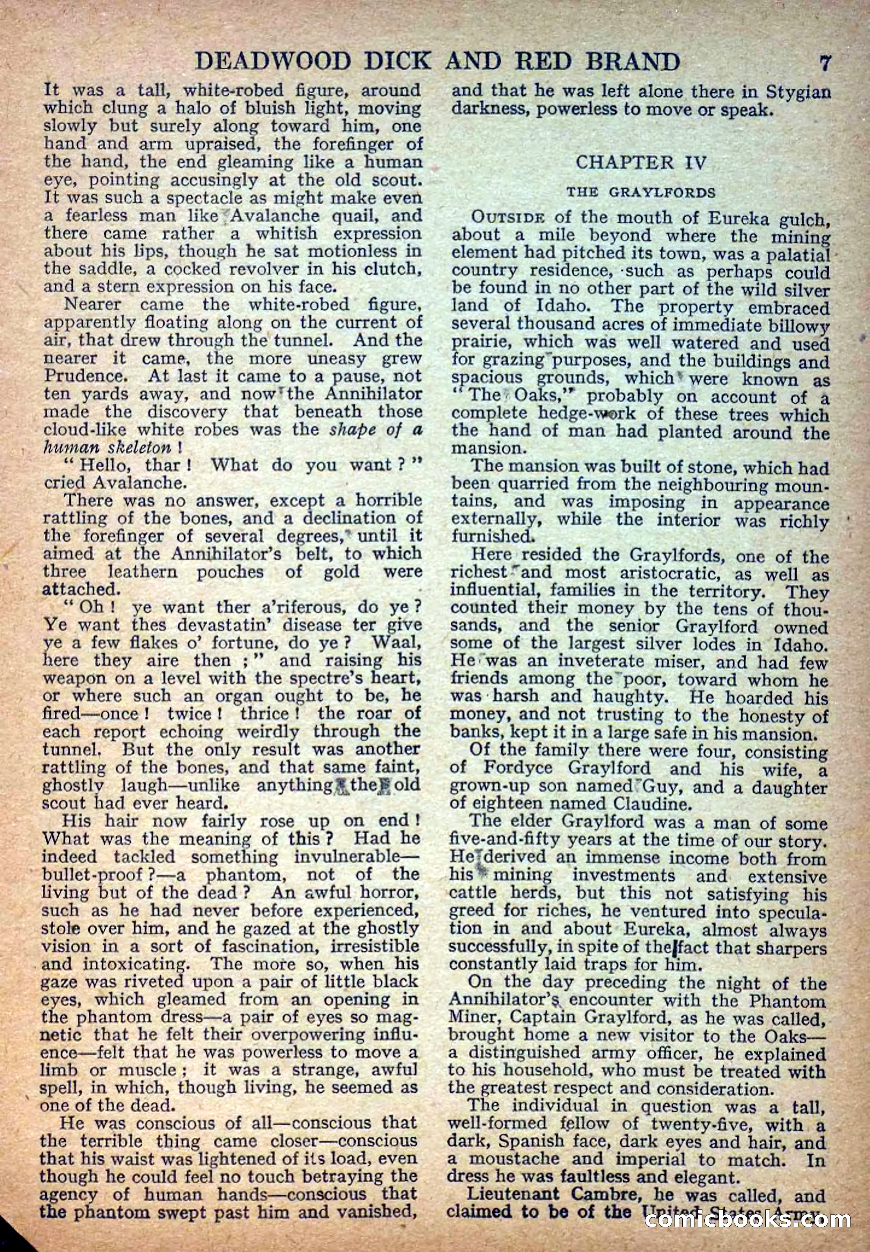 Deadwood Dick Library No. 7 — page 9 of 36