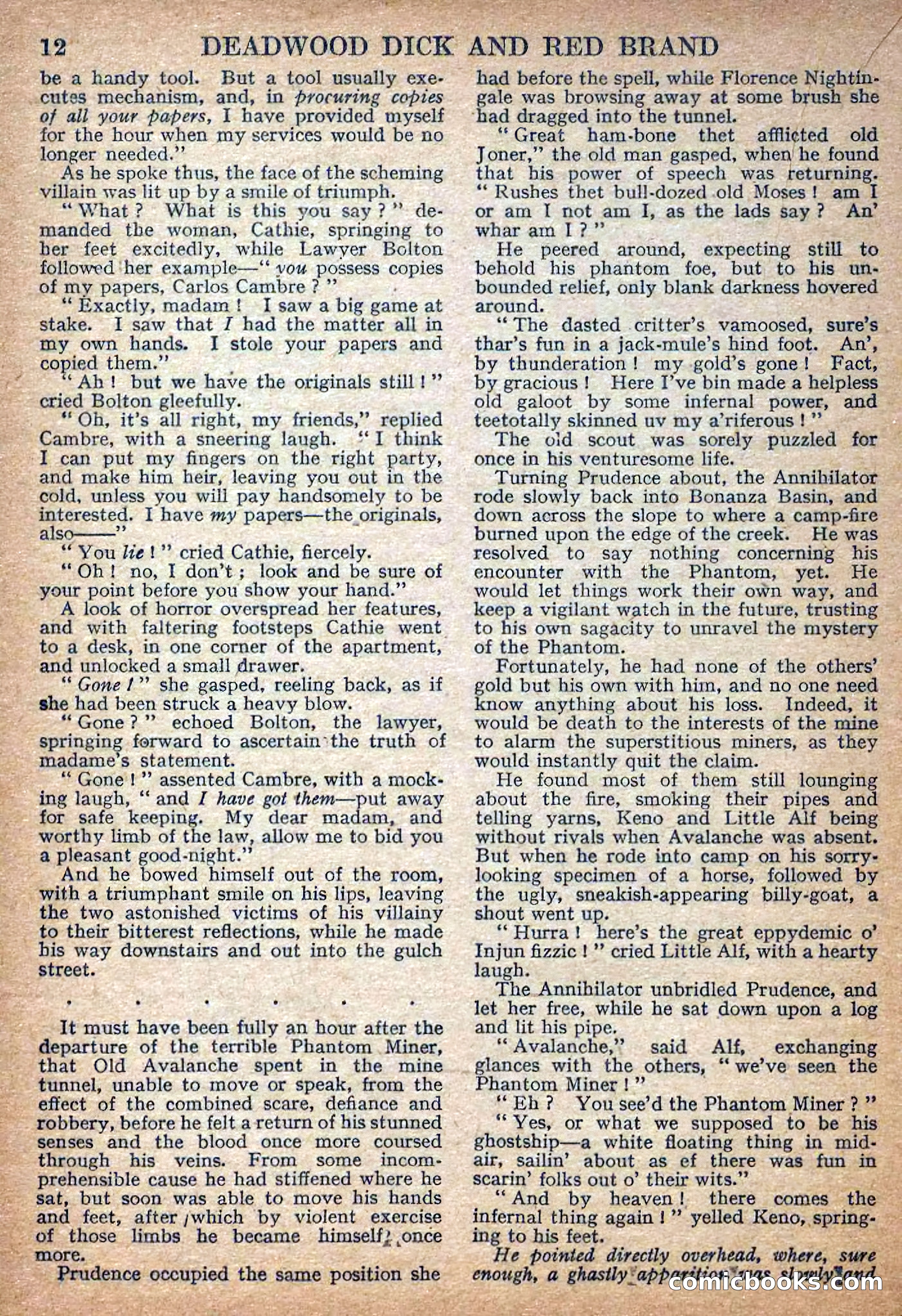 Deadwood Dick Library No. 7 — page 14 of 36