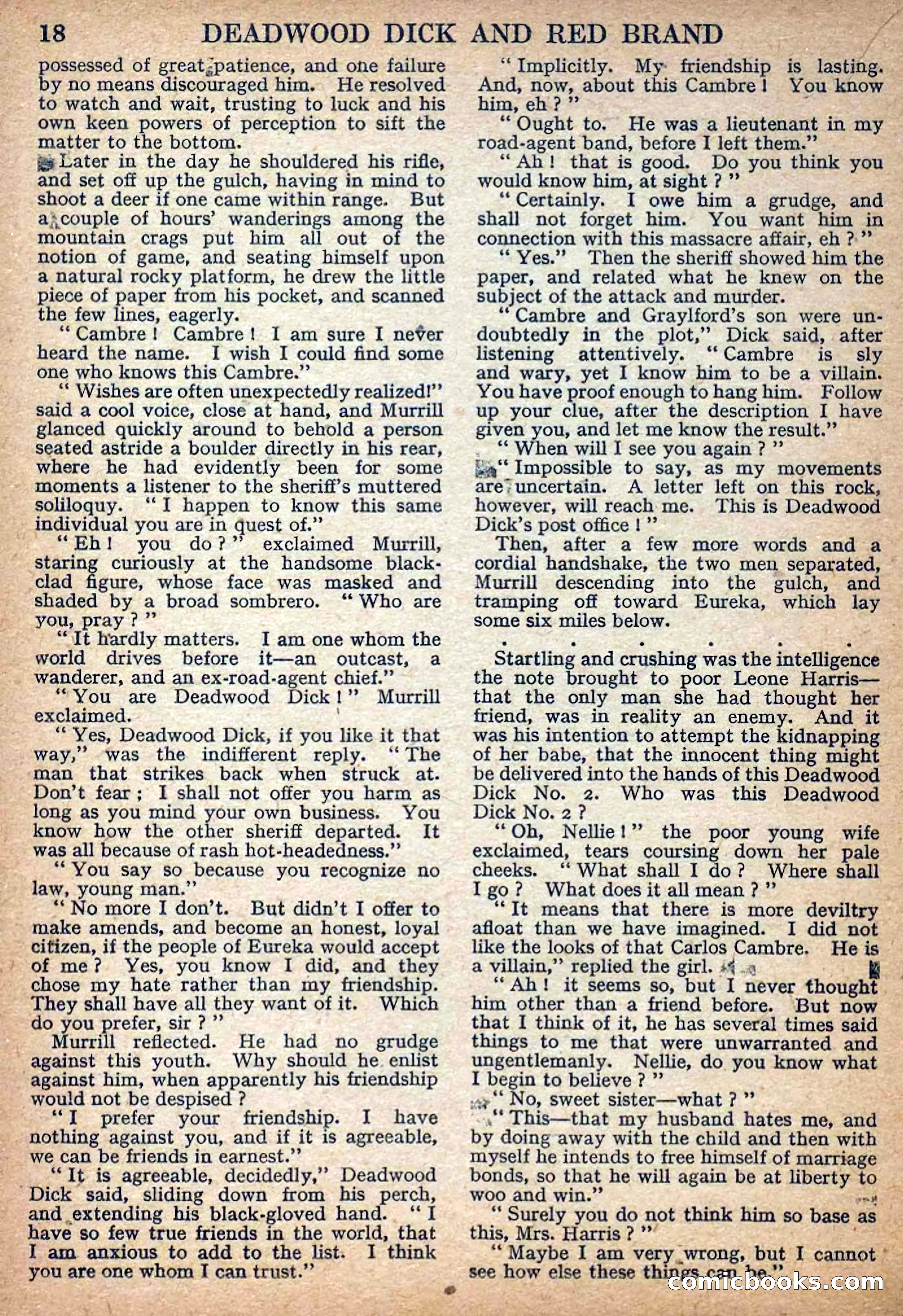 Deadwood Dick Library No. 7 — page 20 of 36