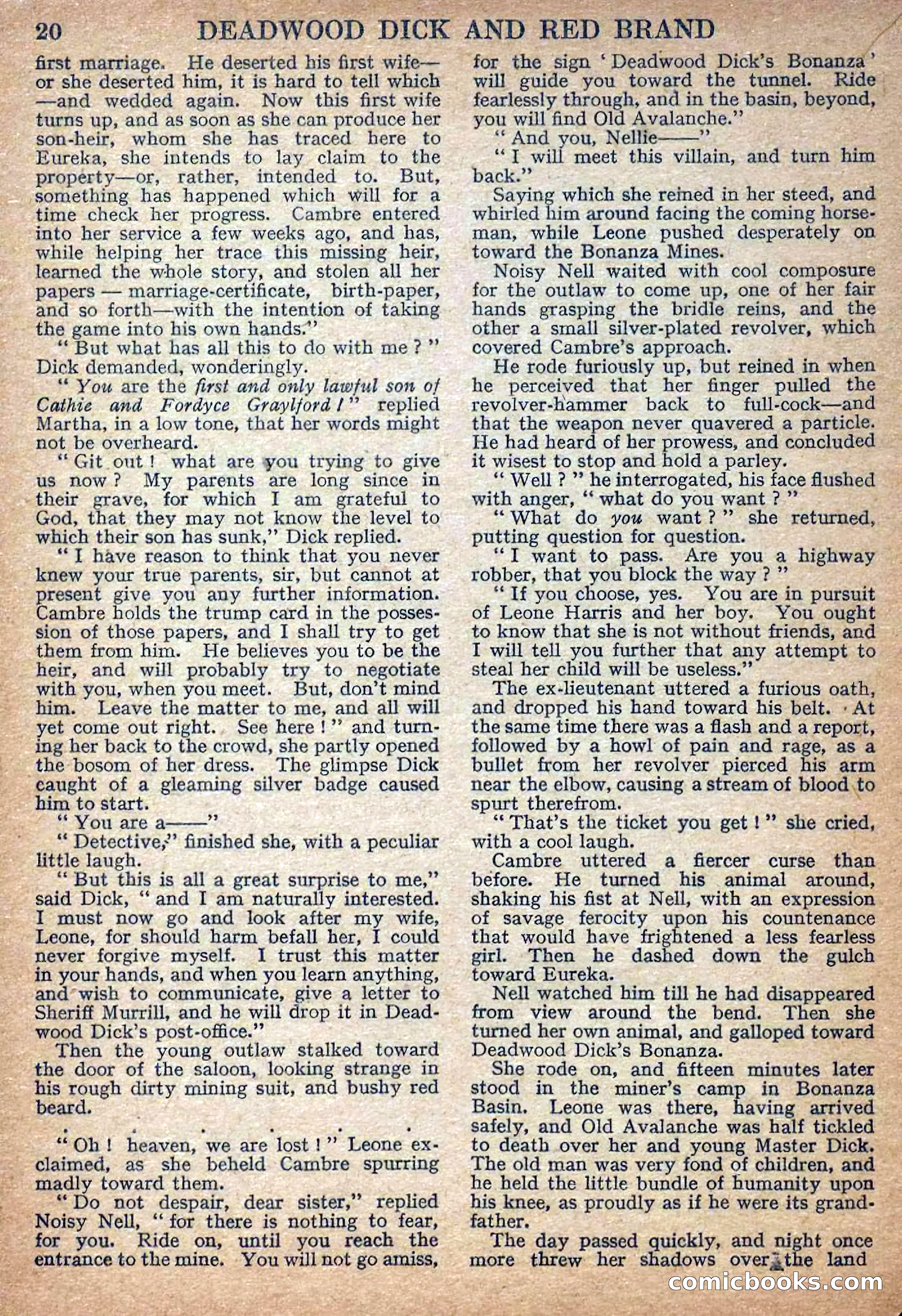 Deadwood Dick Library No. 7 — page 22 of 36