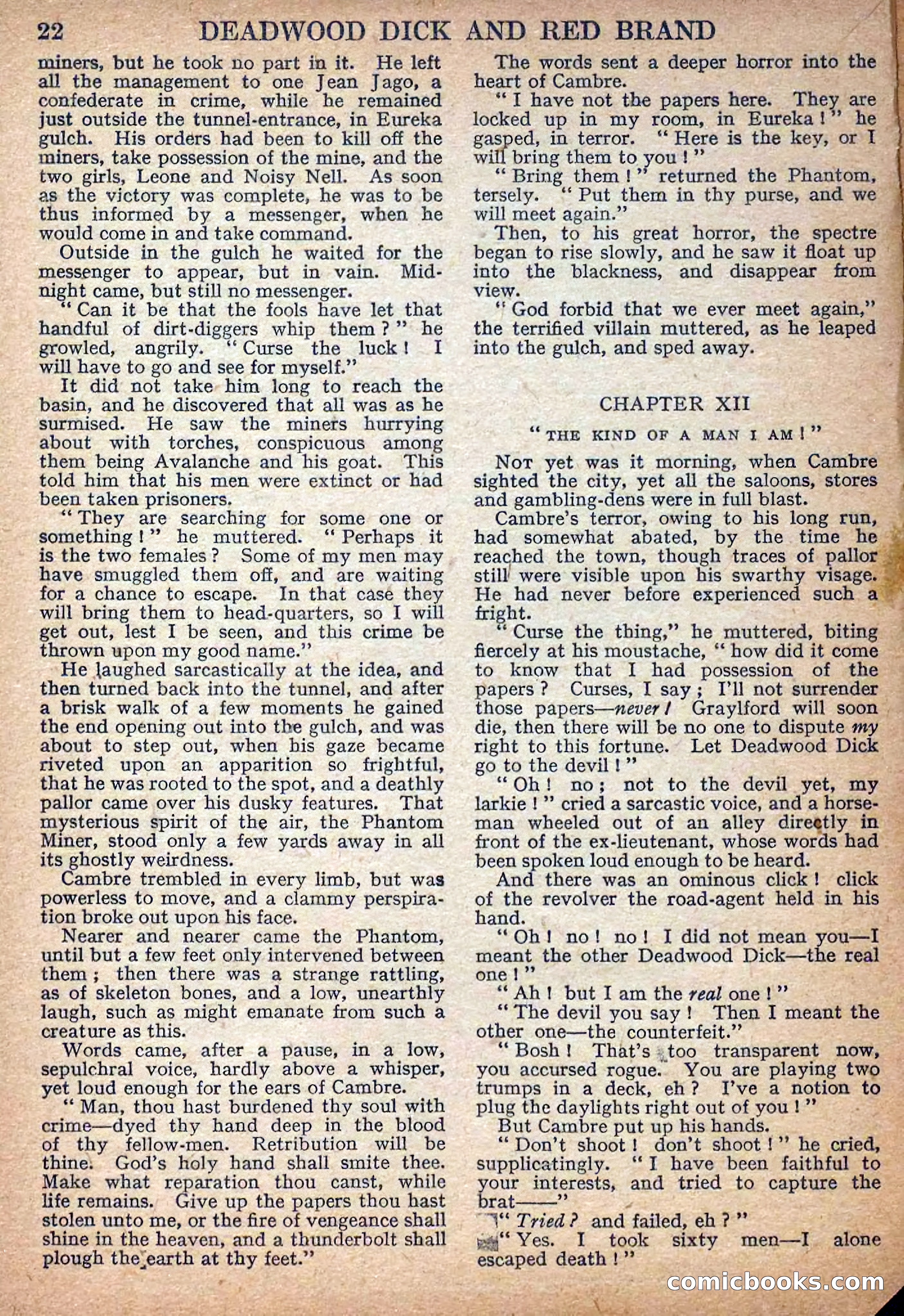 Deadwood Dick Library No. 7 — page 24 of 36
