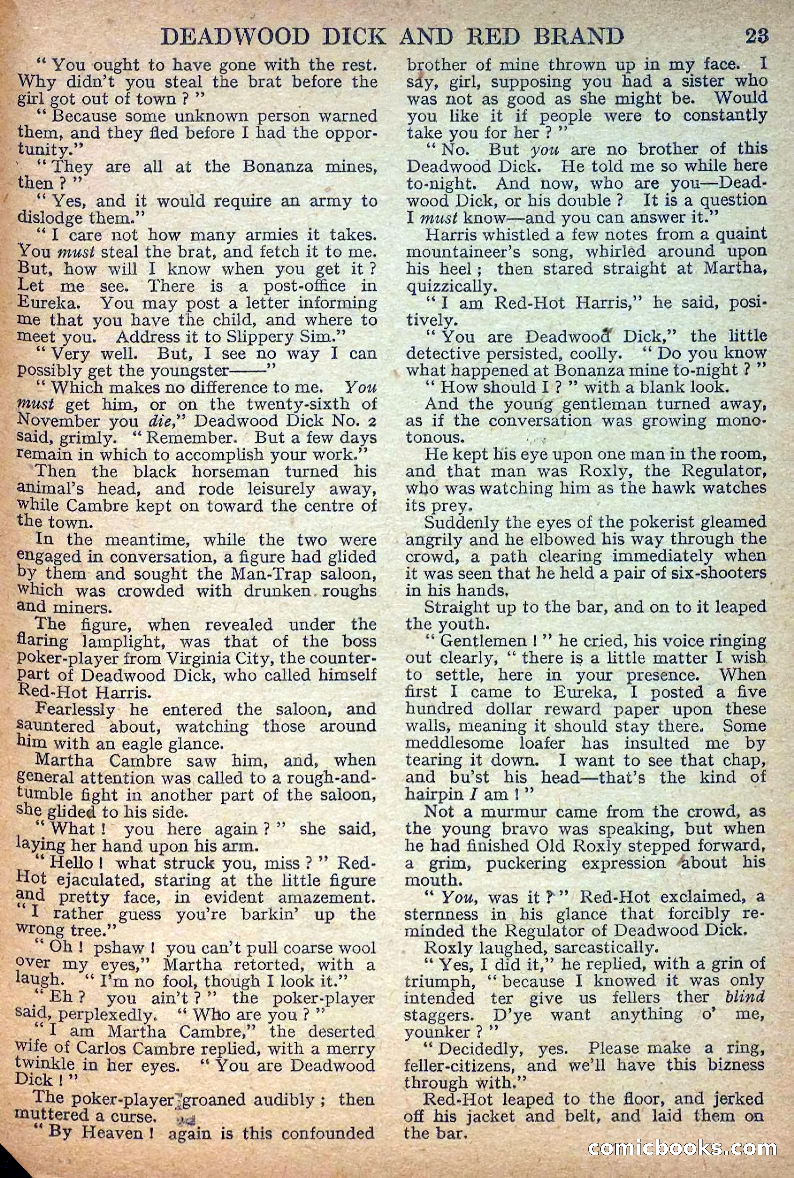 Deadwood Dick Library No. 7 — page 25 of 36