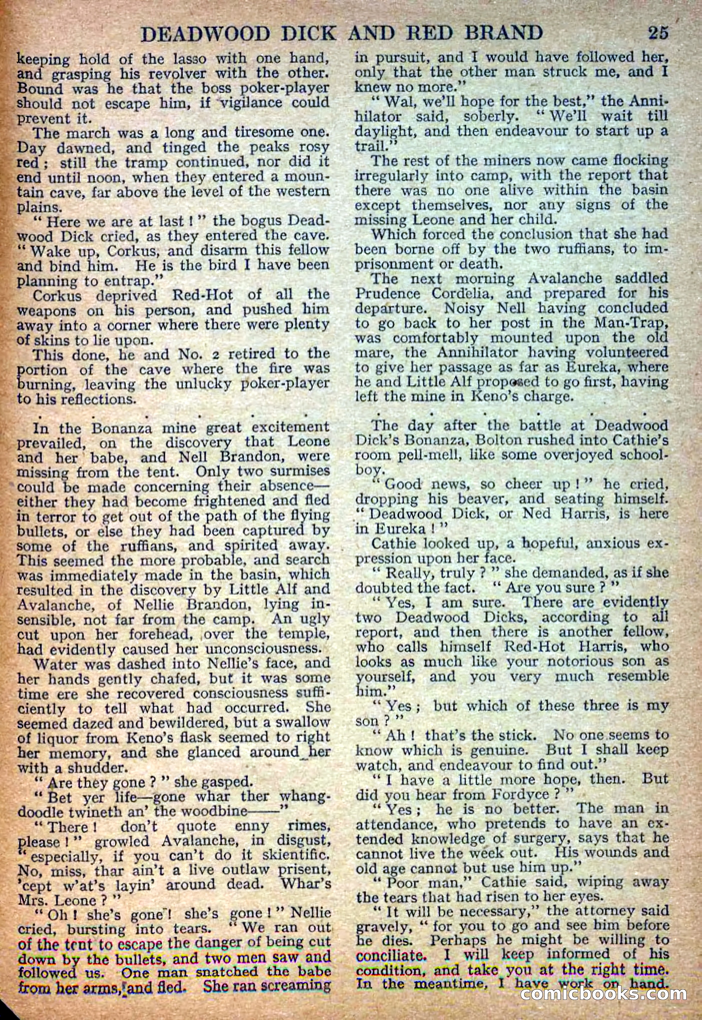 Deadwood Dick Library No. 7 — page 27 of 36