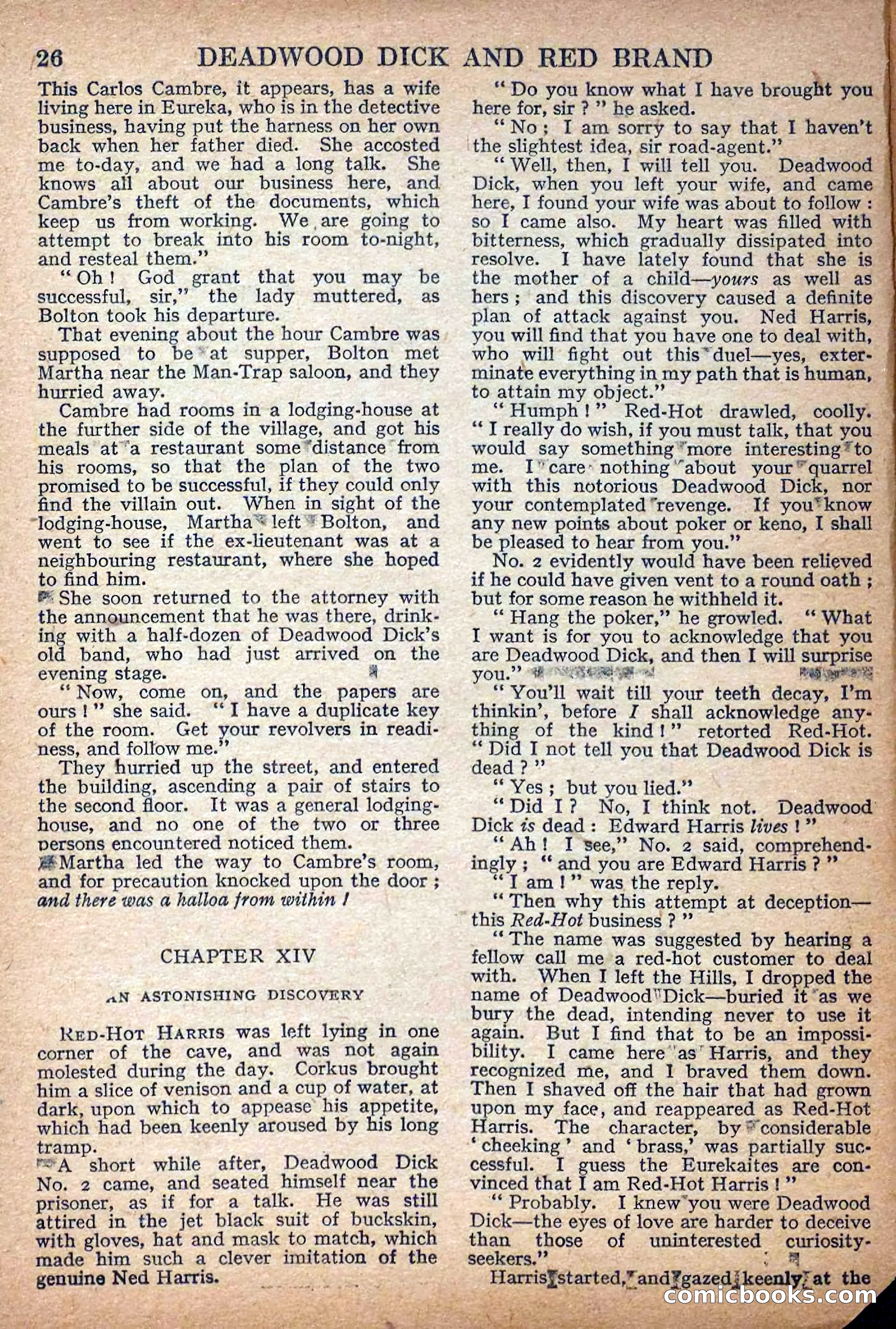 Deadwood Dick Library No. 7 — page 28 of 36