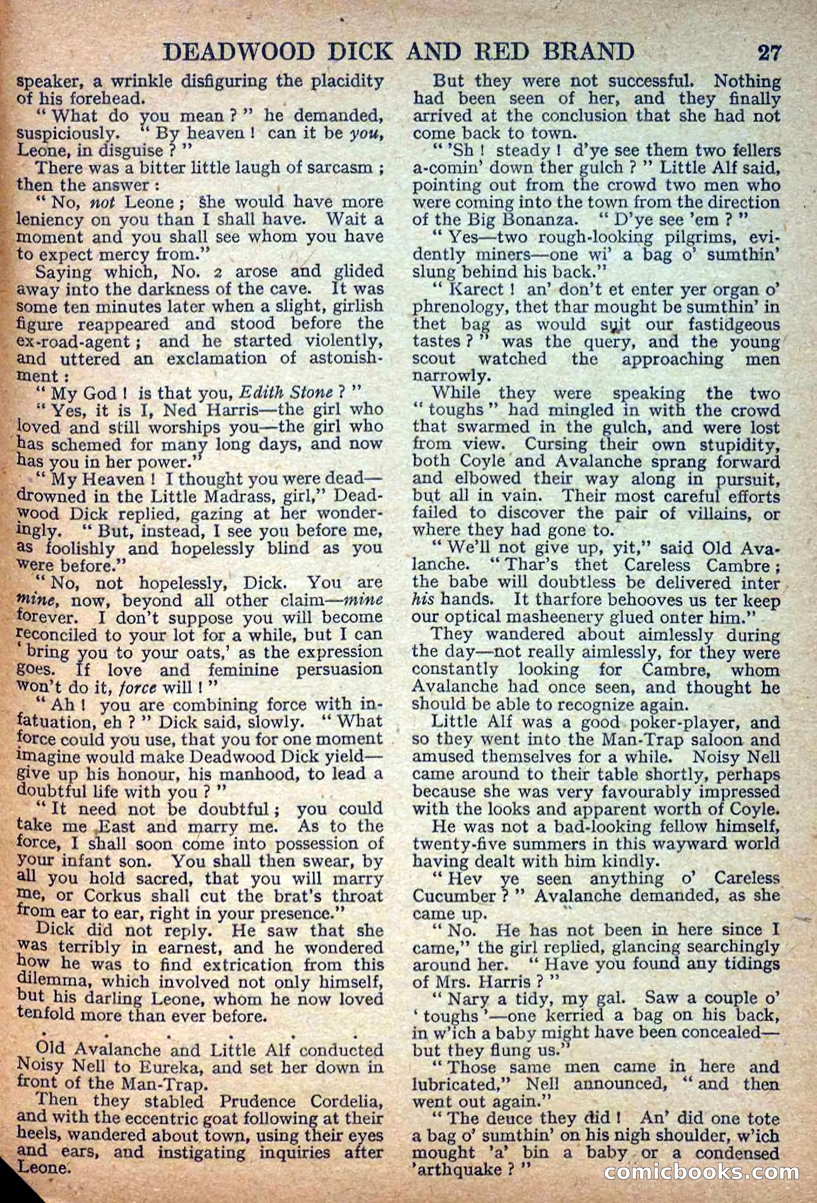 Deadwood Dick Library No. 7 — page 29 of 36