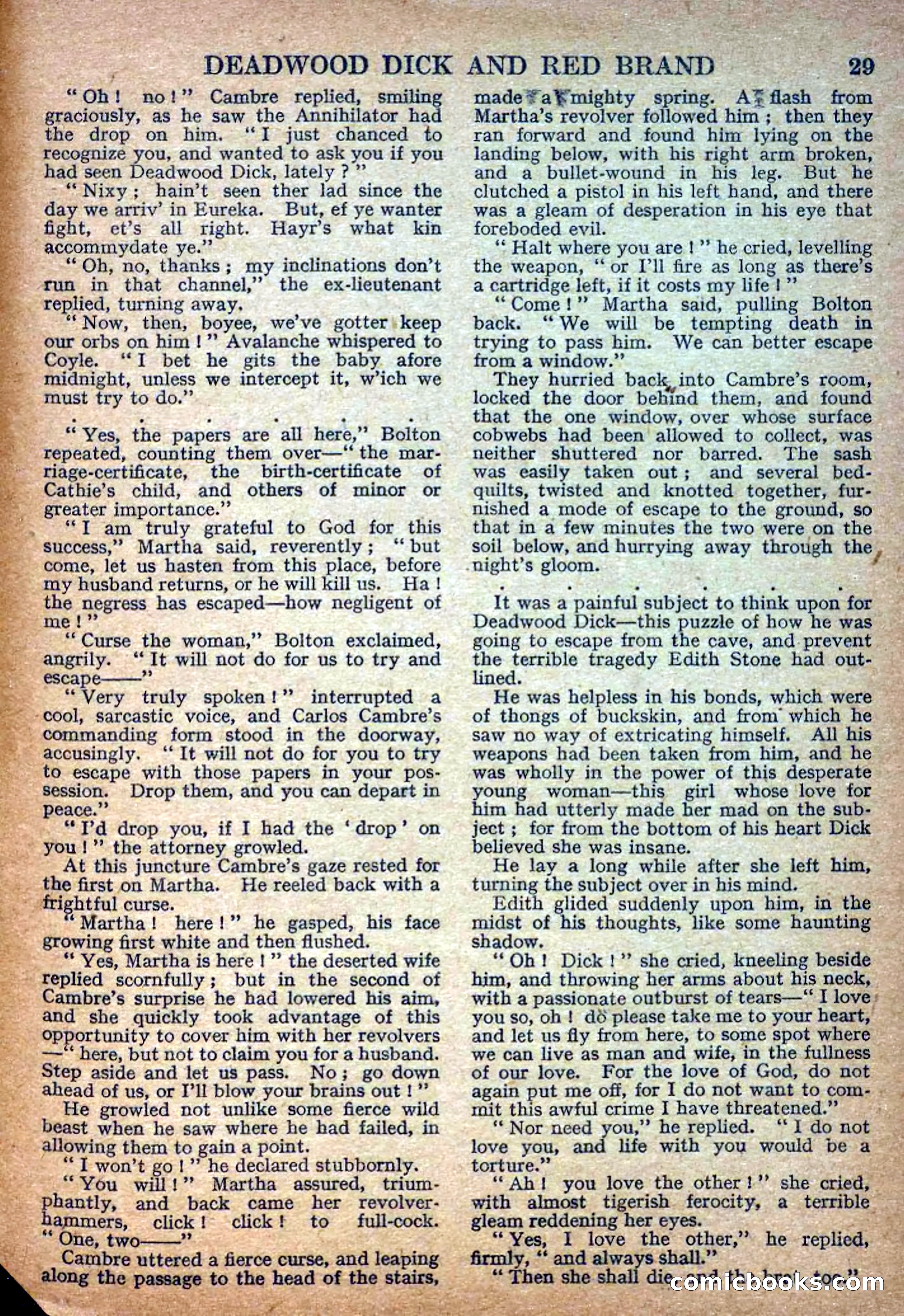 Deadwood Dick Library No. 7 — page 31 of 36