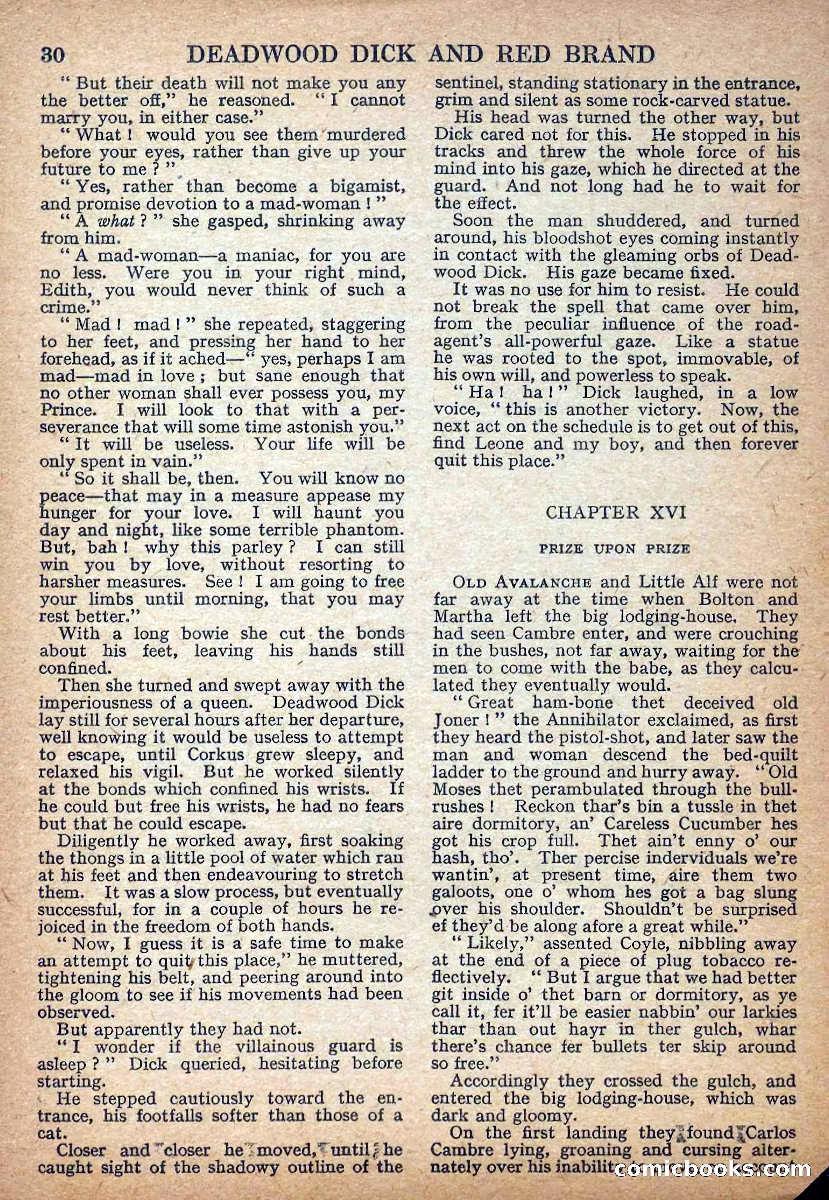Deadwood Dick Library No. 7 — page 32 of 36
