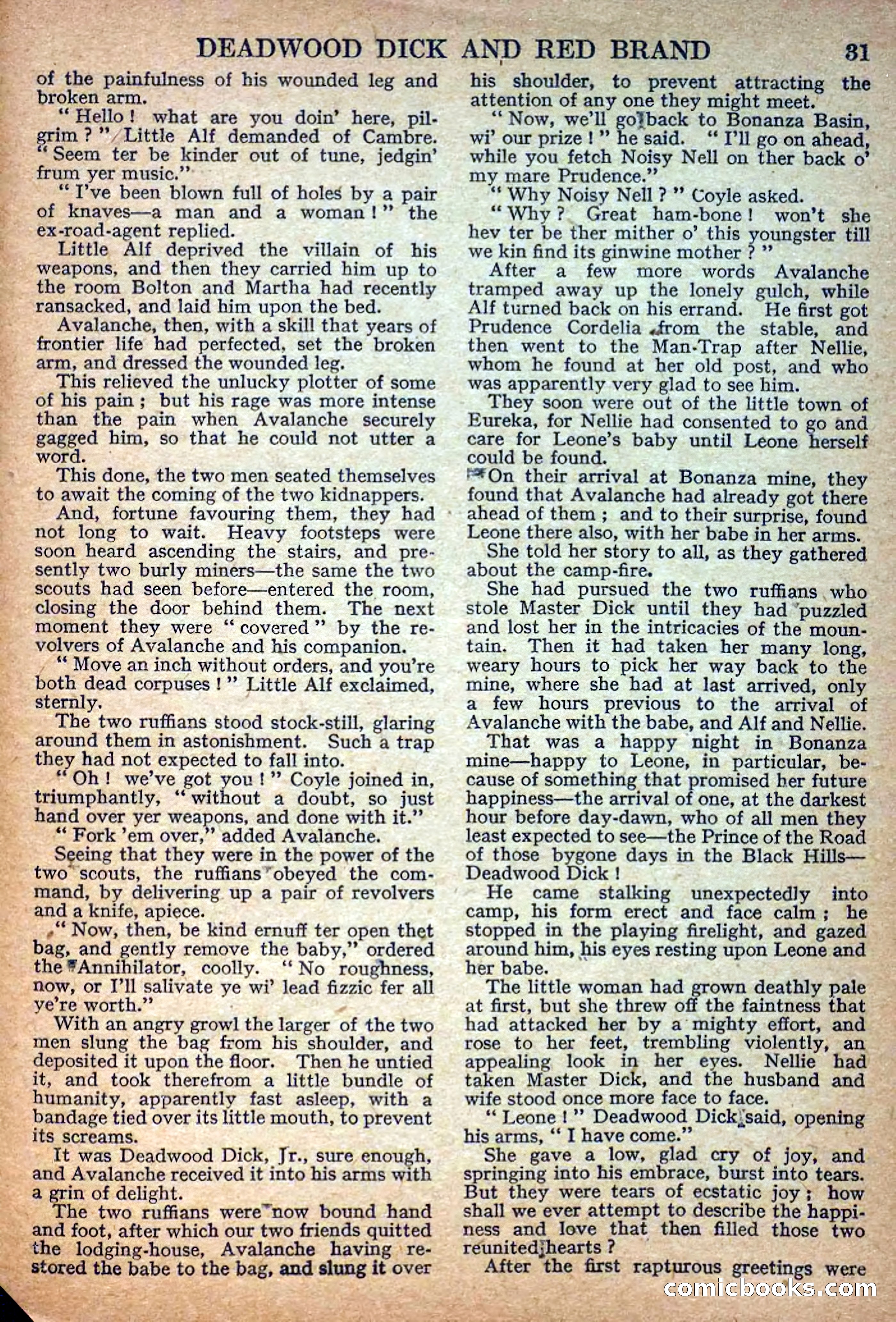 Deadwood Dick Library No. 7 — page 33 of 36