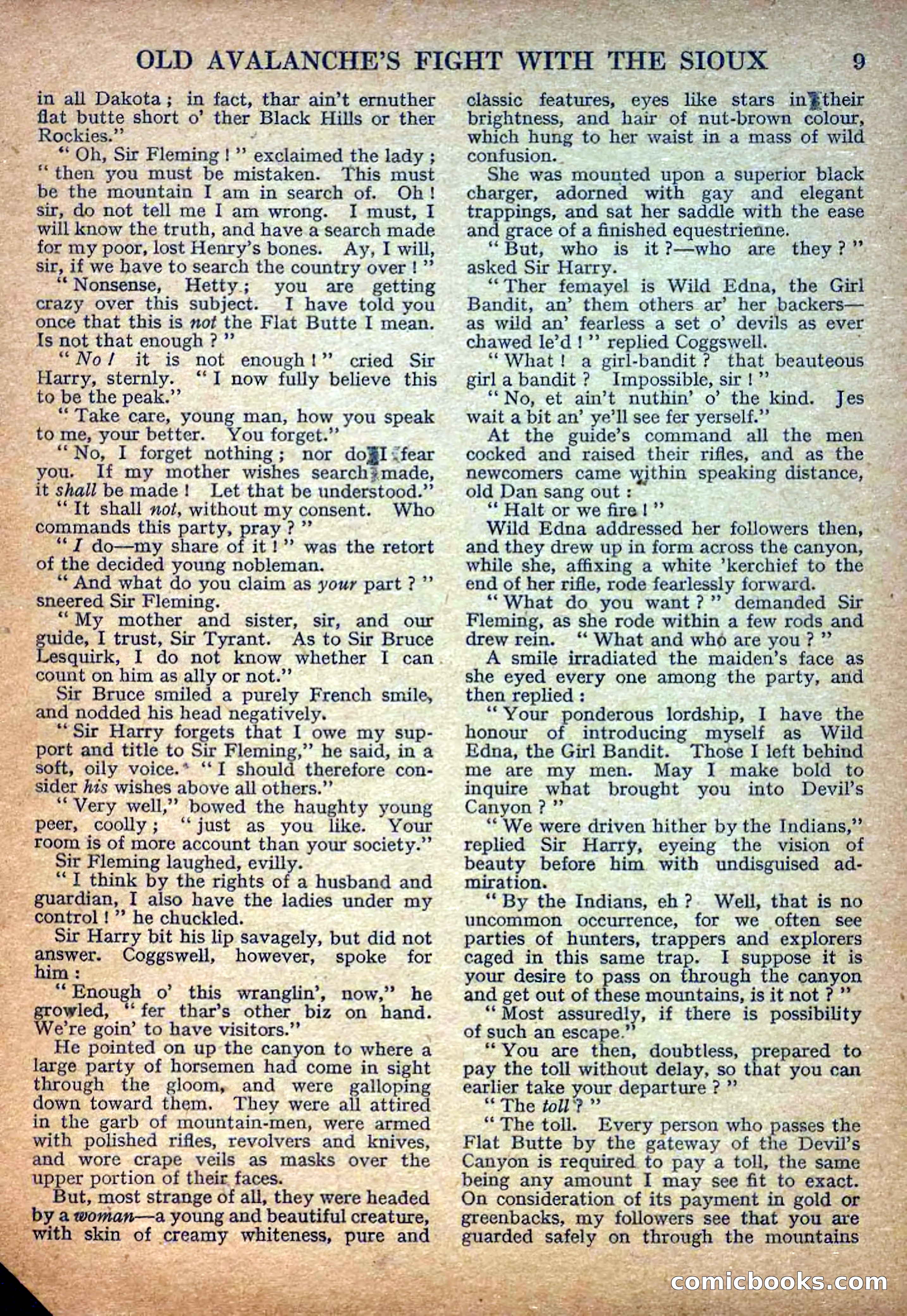 Deadwood Dick Library No. 8 — page 11 of 36