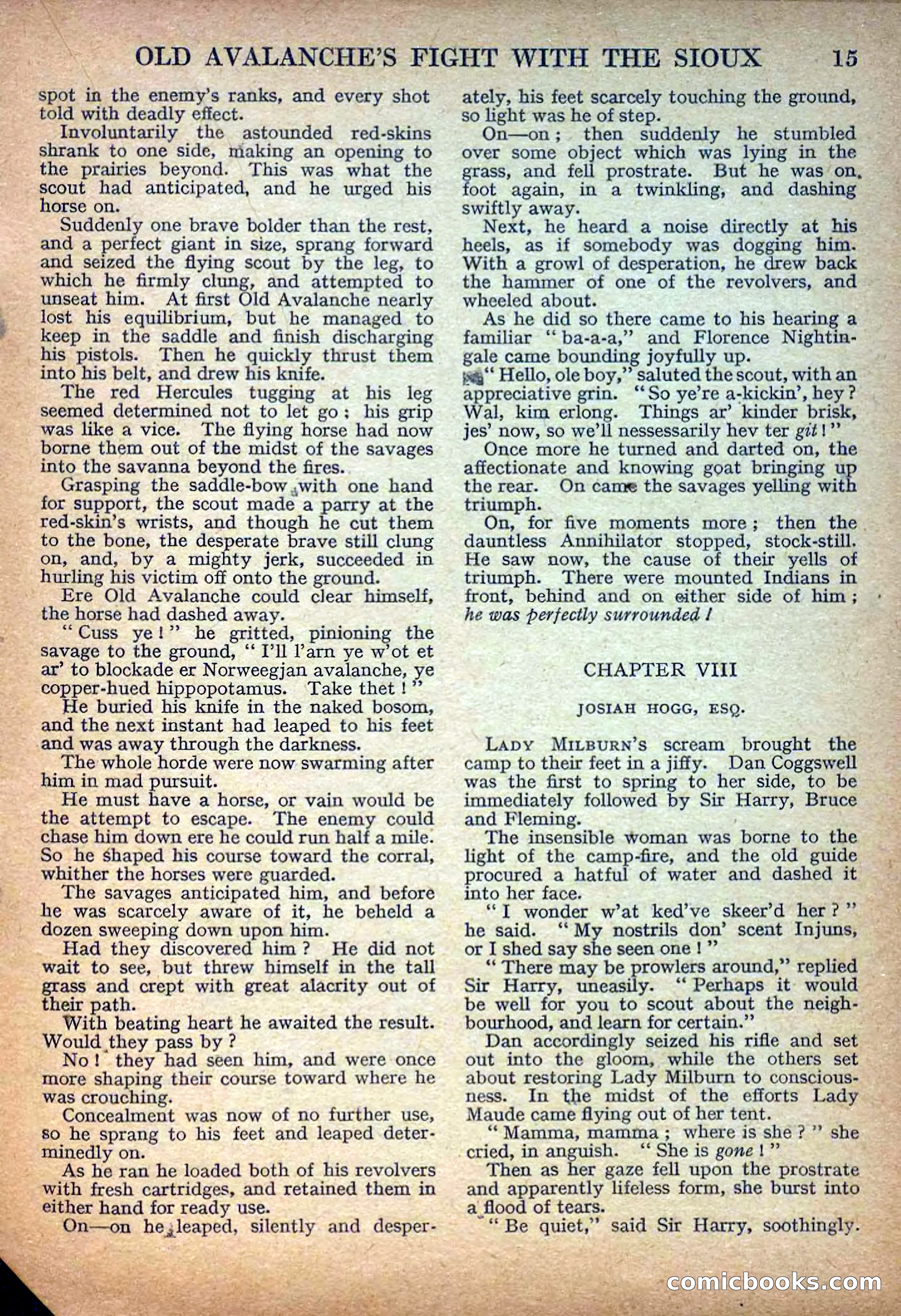 Deadwood Dick Library No. 8 — page 17 of 36