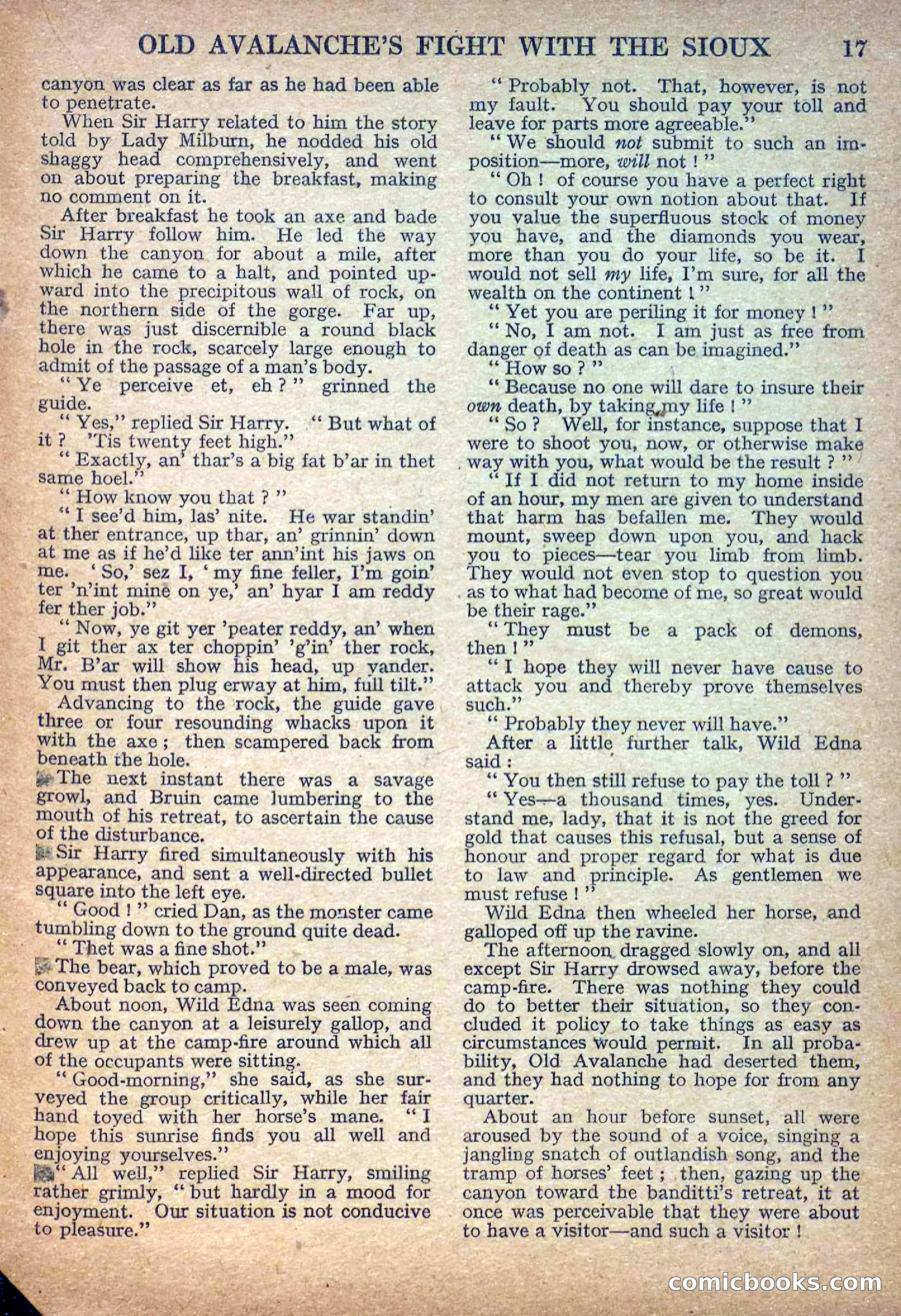 Deadwood Dick Library No. 8 — page 19 of 36