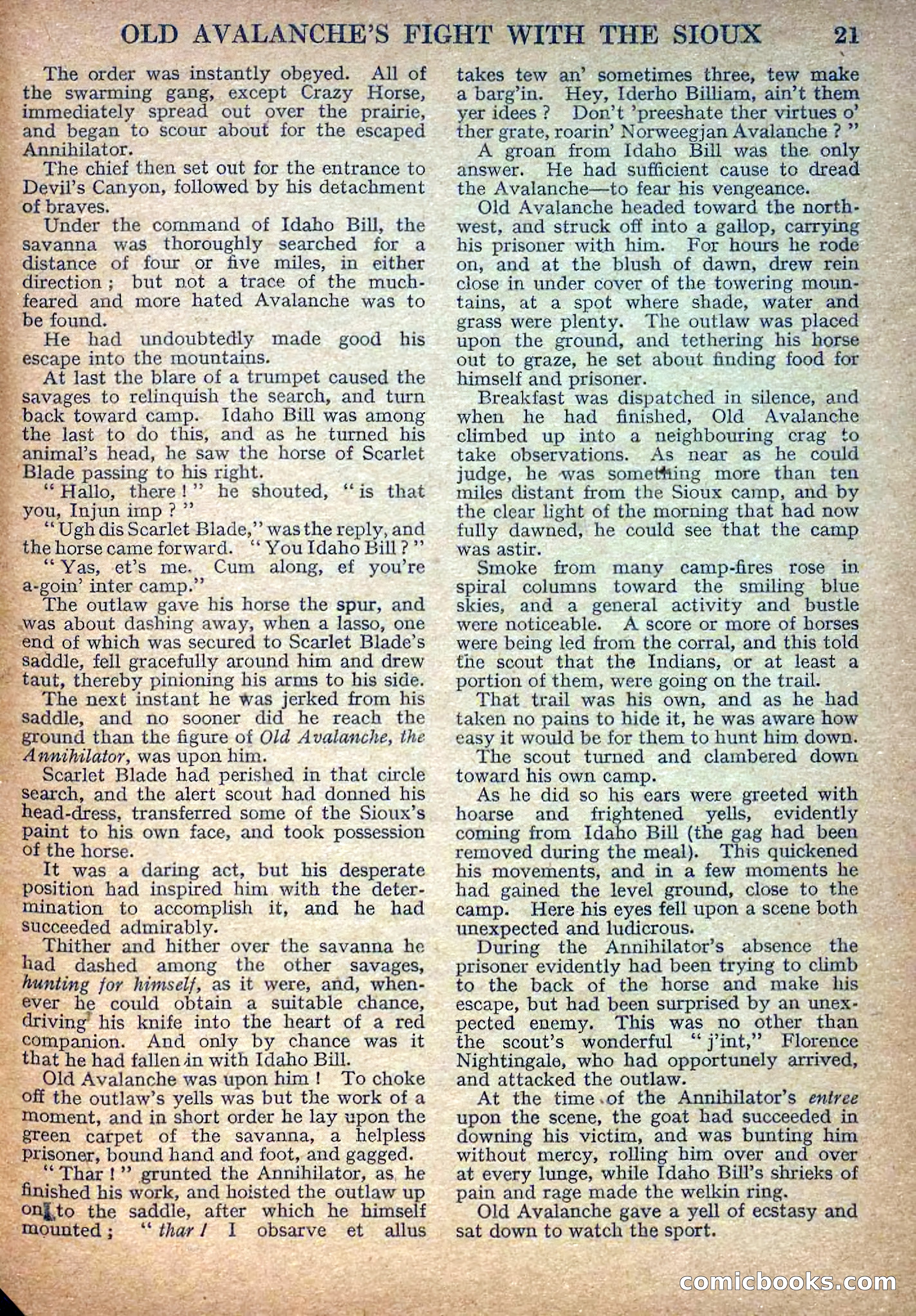 Deadwood Dick Library No. 8 — page 23 of 36