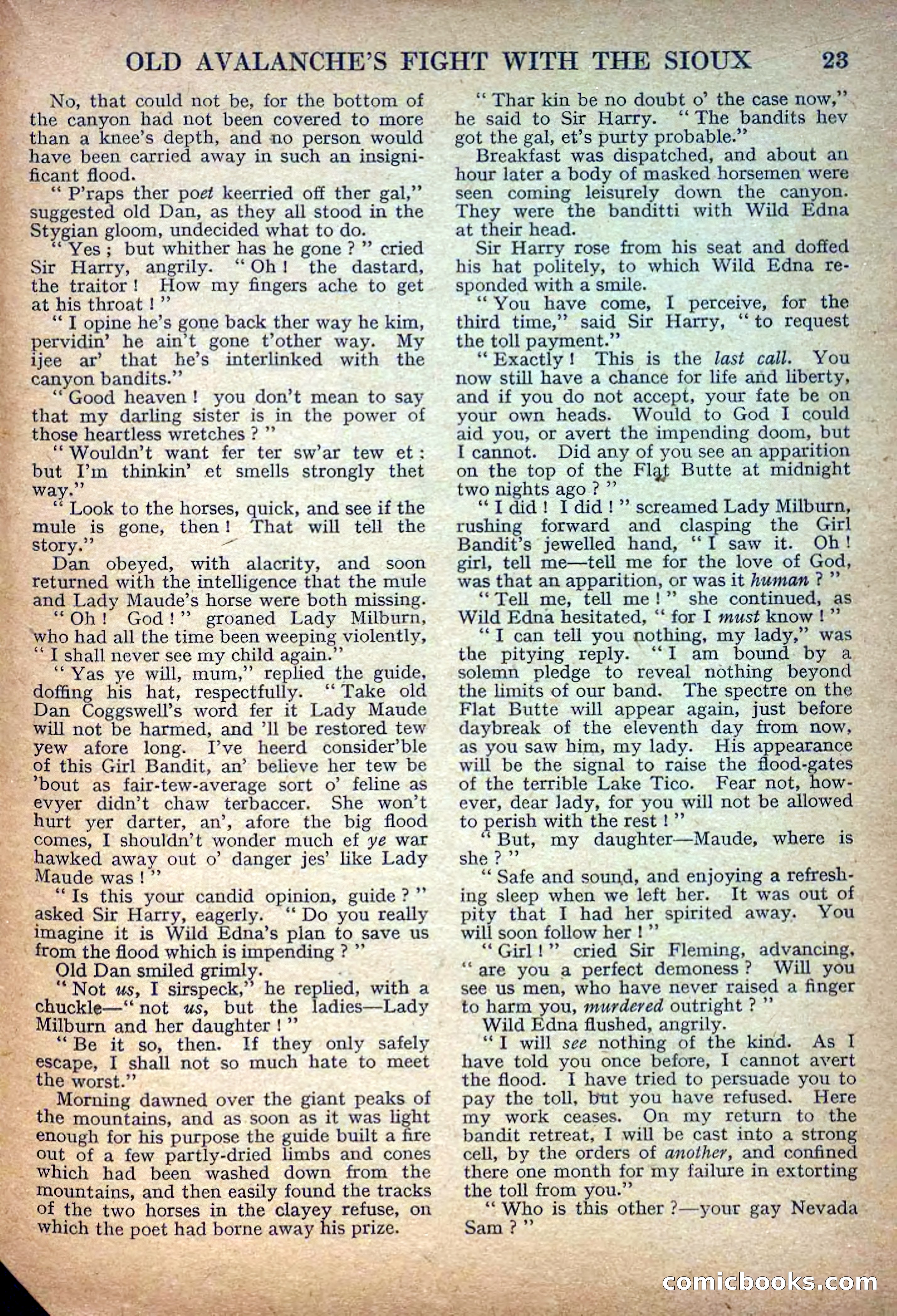 Deadwood Dick Library No. 8 — page 25 of 36