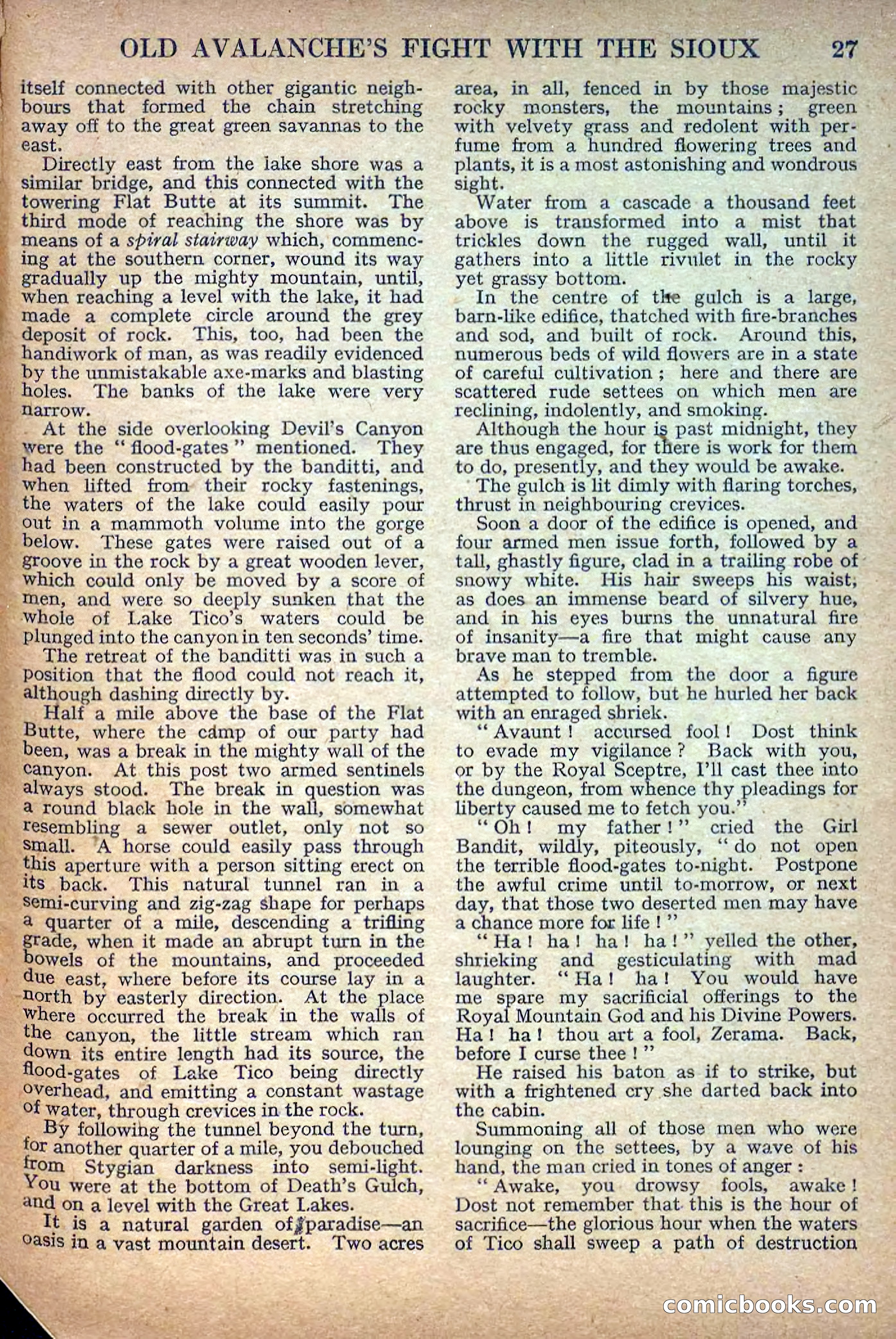Deadwood Dick Library No. 8 — page 29 of 36