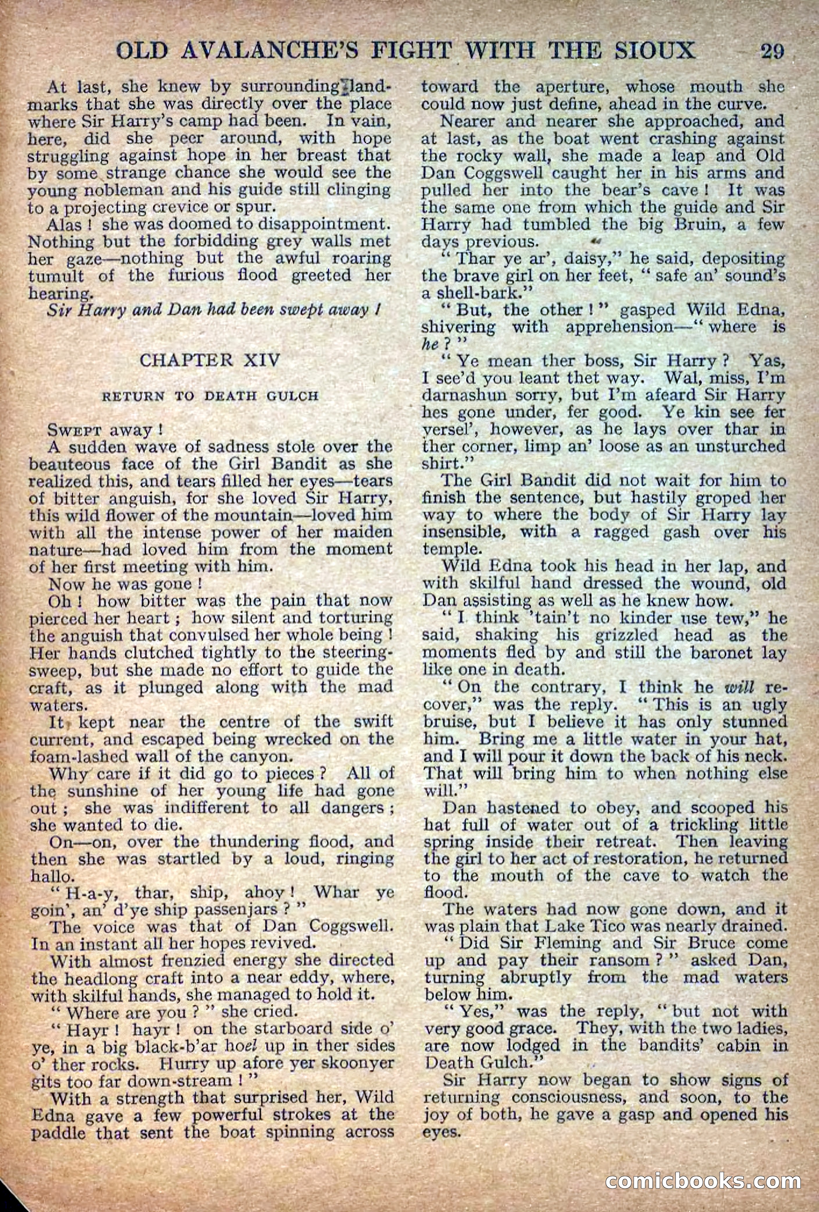 Deadwood Dick Library No. 8 — page 31 of 36
