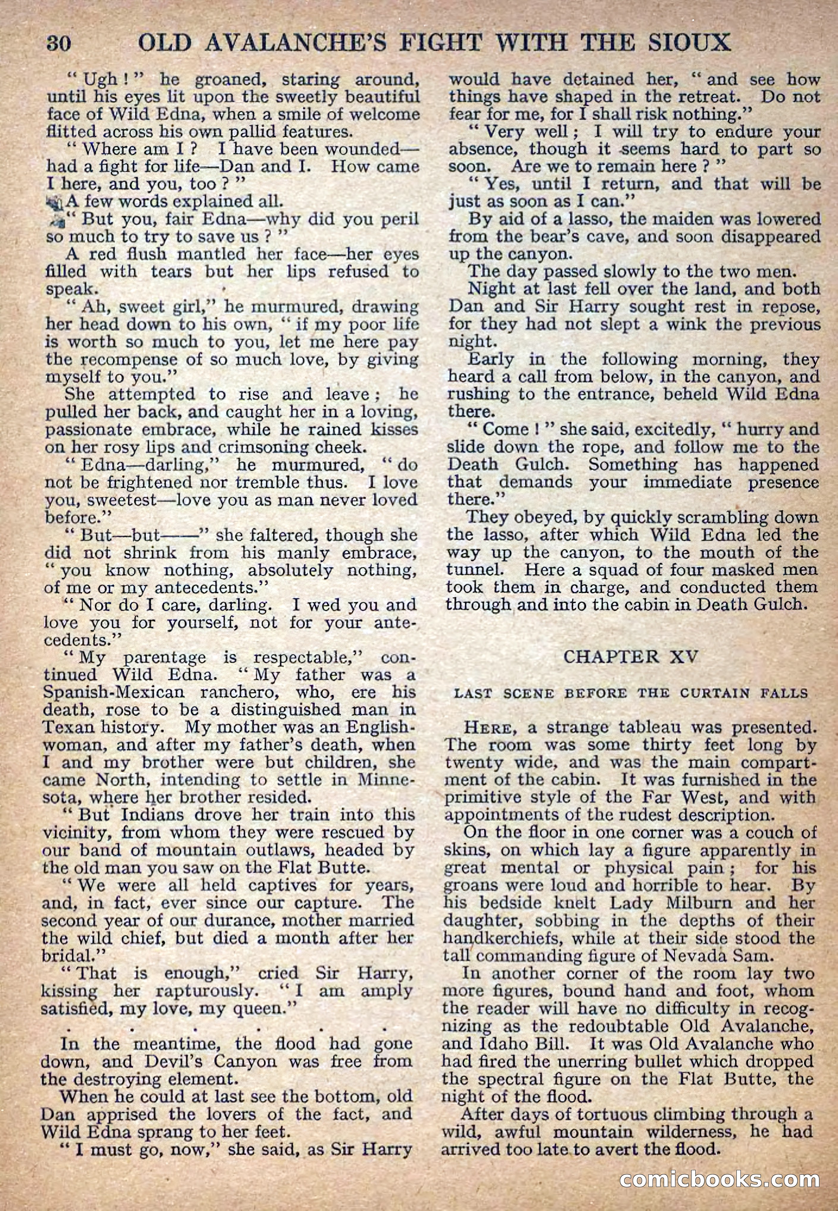 Deadwood Dick Library No. 8 — page 32 of 36
