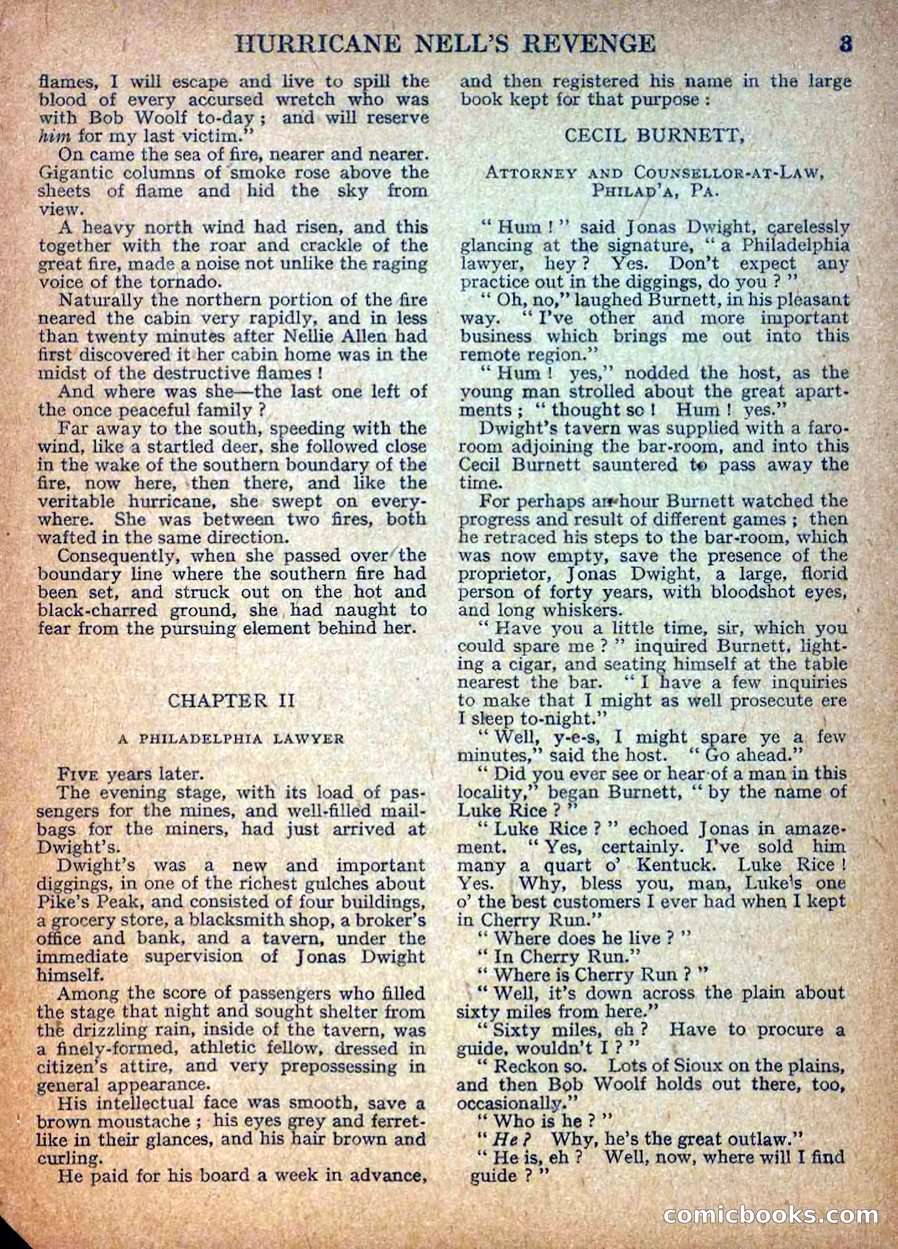 Deadwood Dick Library No. 9: Hurricane Nell's Revenge — page 5 of 36