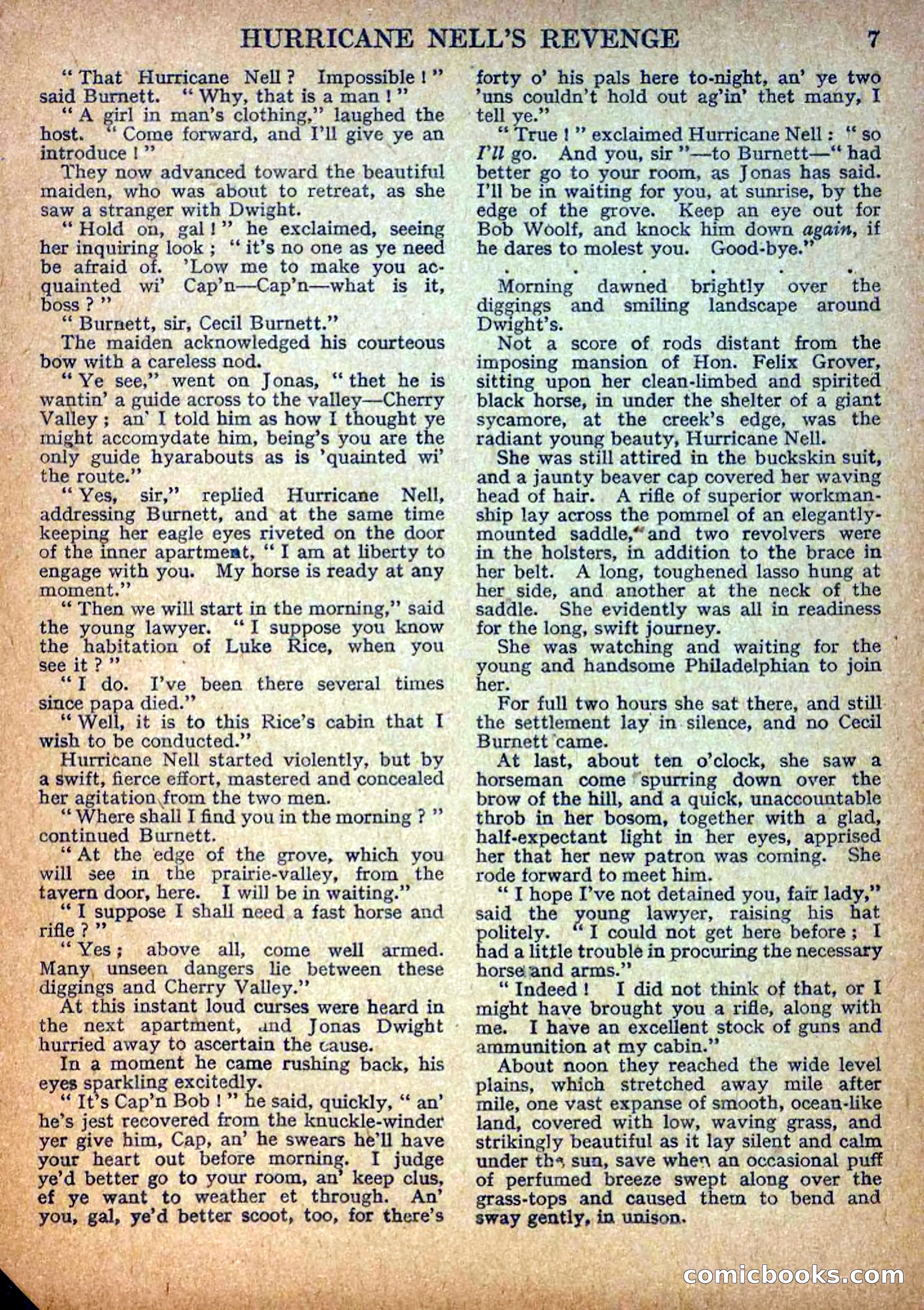 Deadwood Dick Library No. 9: Hurricane Nell's Revenge — page 9 of 36