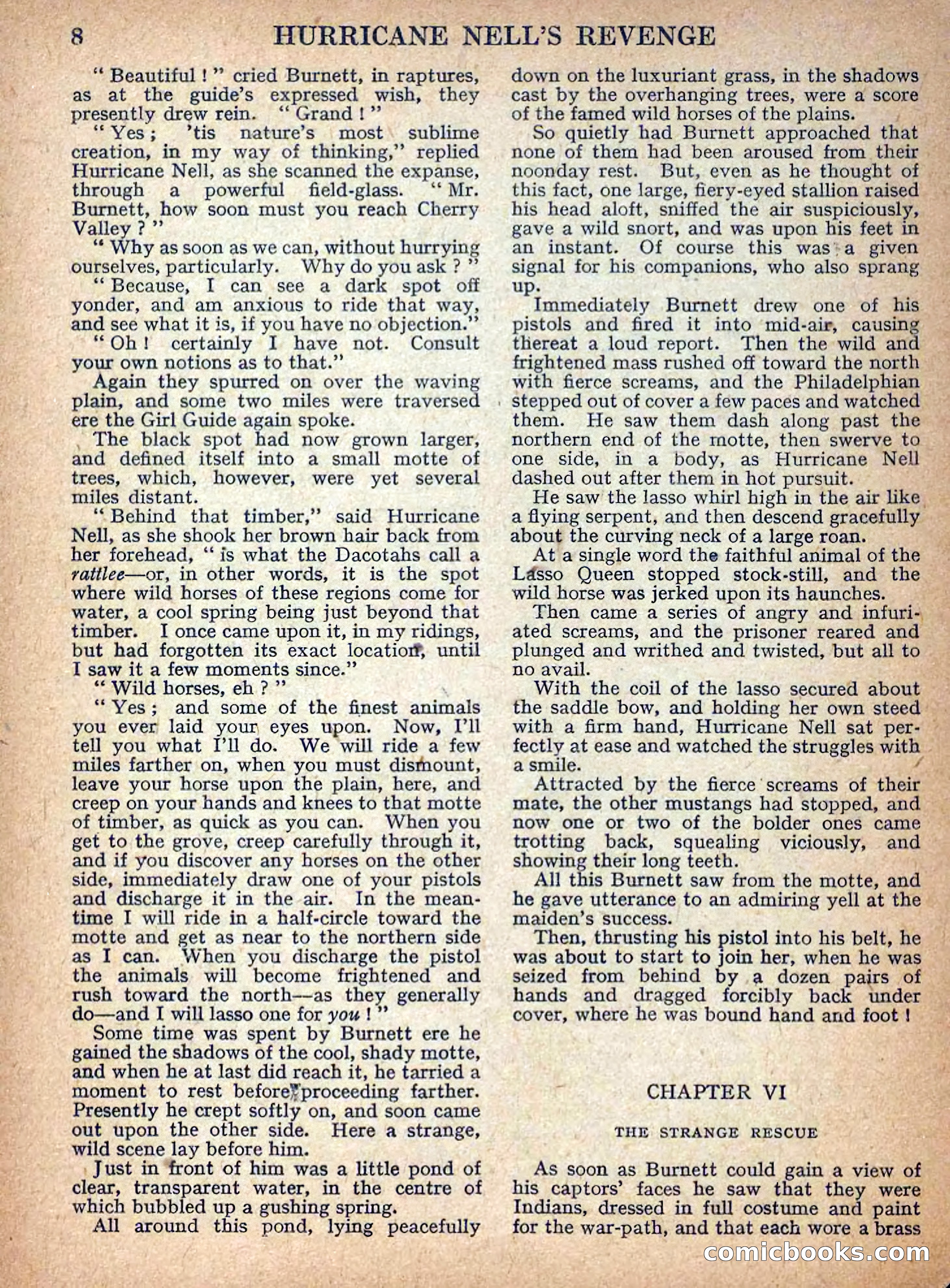 Deadwood Dick Library No. 9: Hurricane Nell's Revenge — page 10 of 36