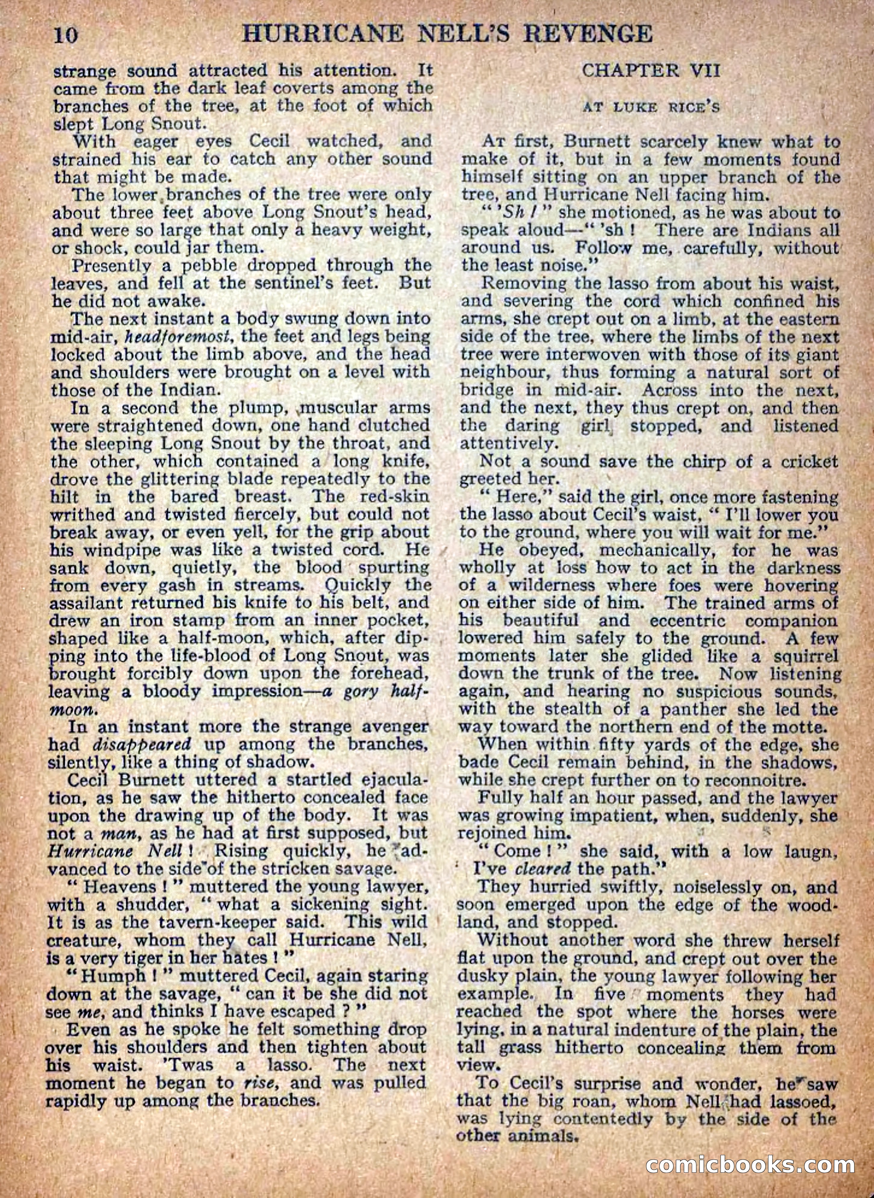 Deadwood Dick Library No. 9: Hurricane Nell's Revenge — page 12 of 36