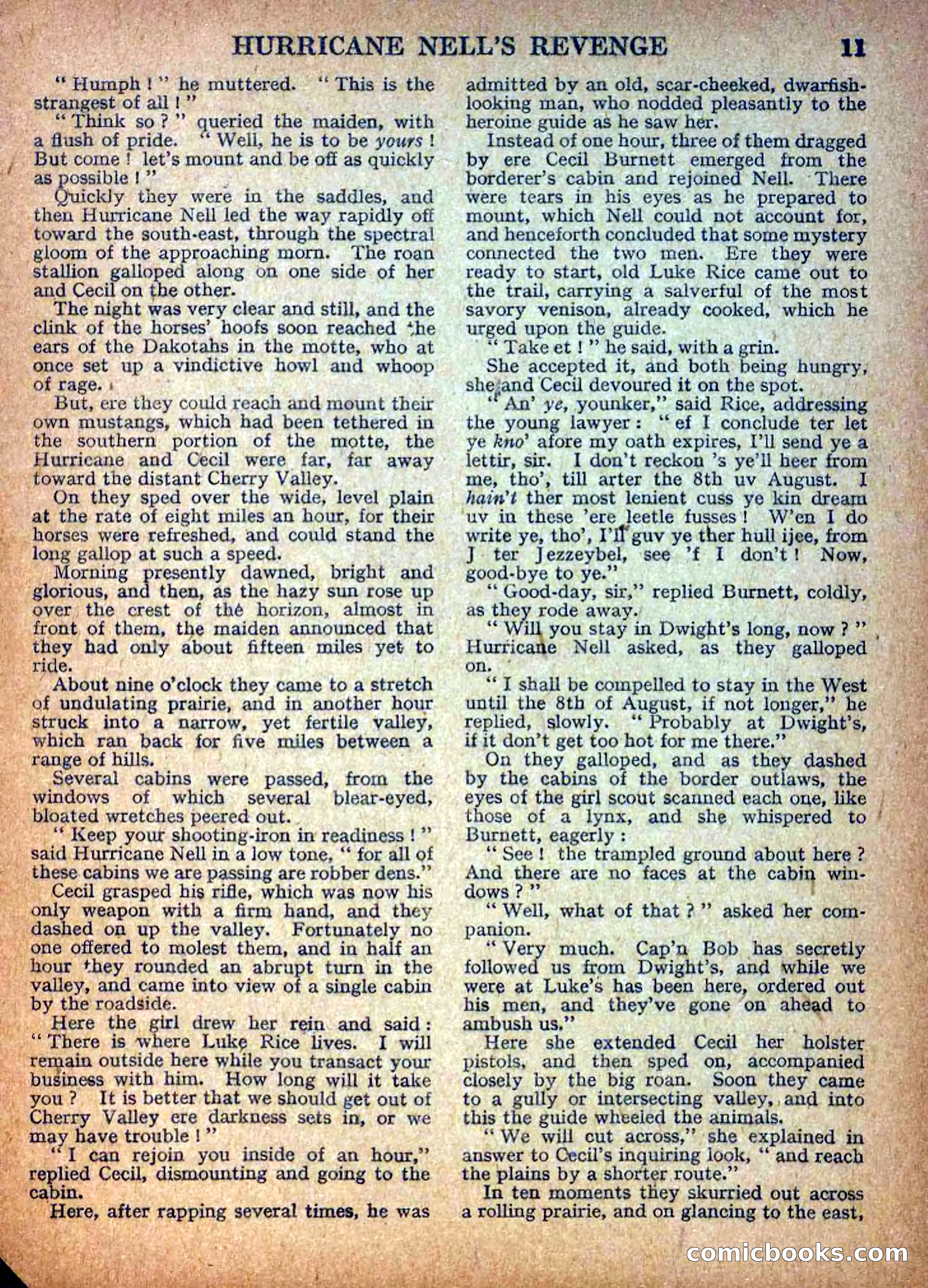 Deadwood Dick Library No. 9: Hurricane Nell's Revenge — page 13 of 36