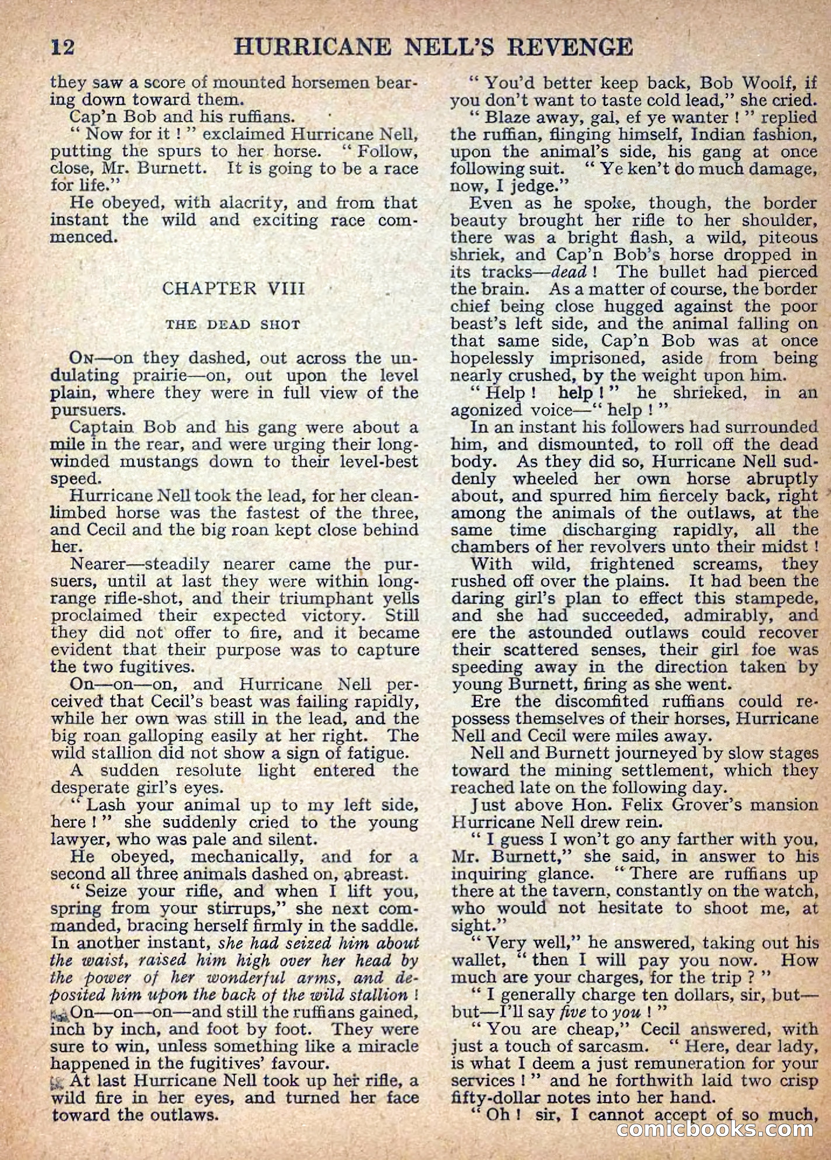 Deadwood Dick Library No. 9: Hurricane Nell's Revenge — page 14 of 36