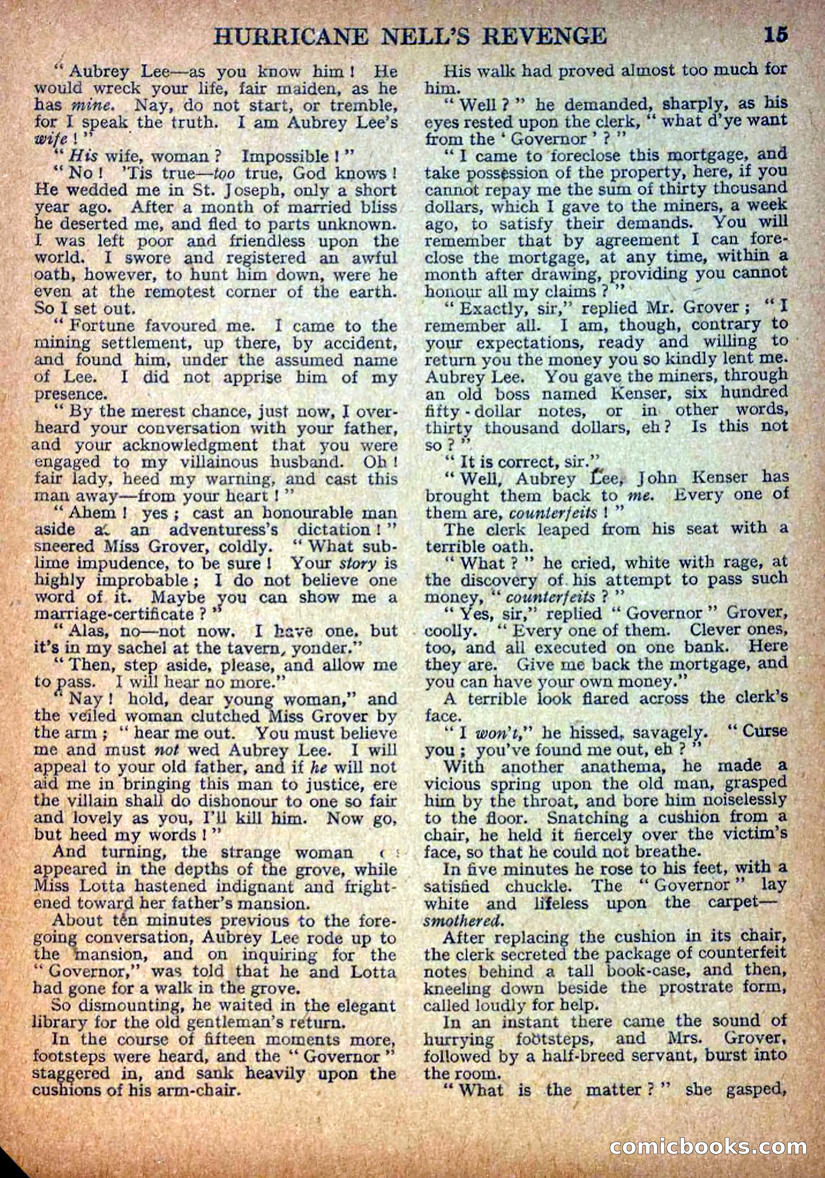 Deadwood Dick Library No. 9: Hurricane Nell's Revenge — page 17 of 36