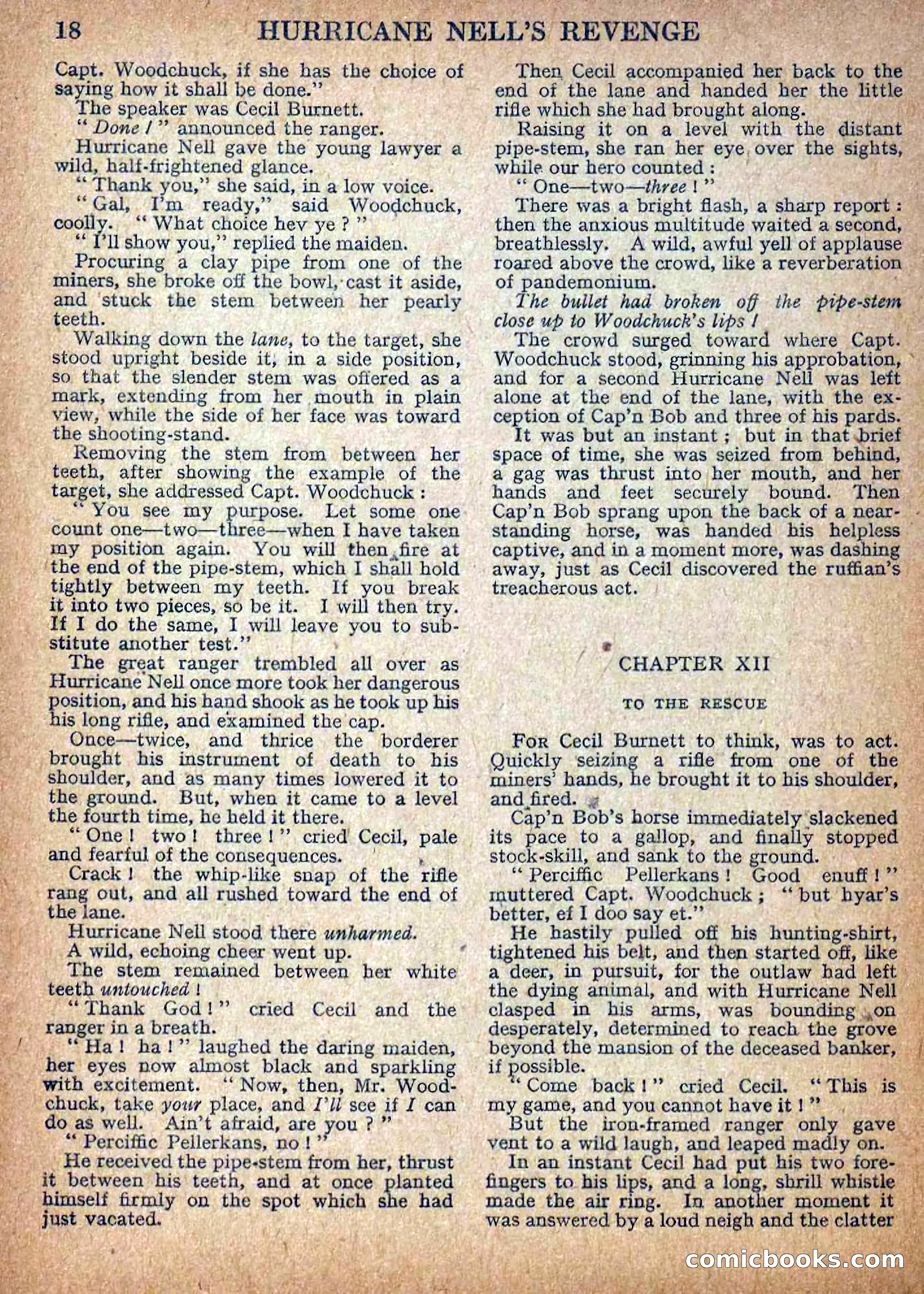 Deadwood Dick Library No. 9: Hurricane Nell's Revenge — page 20 of 36