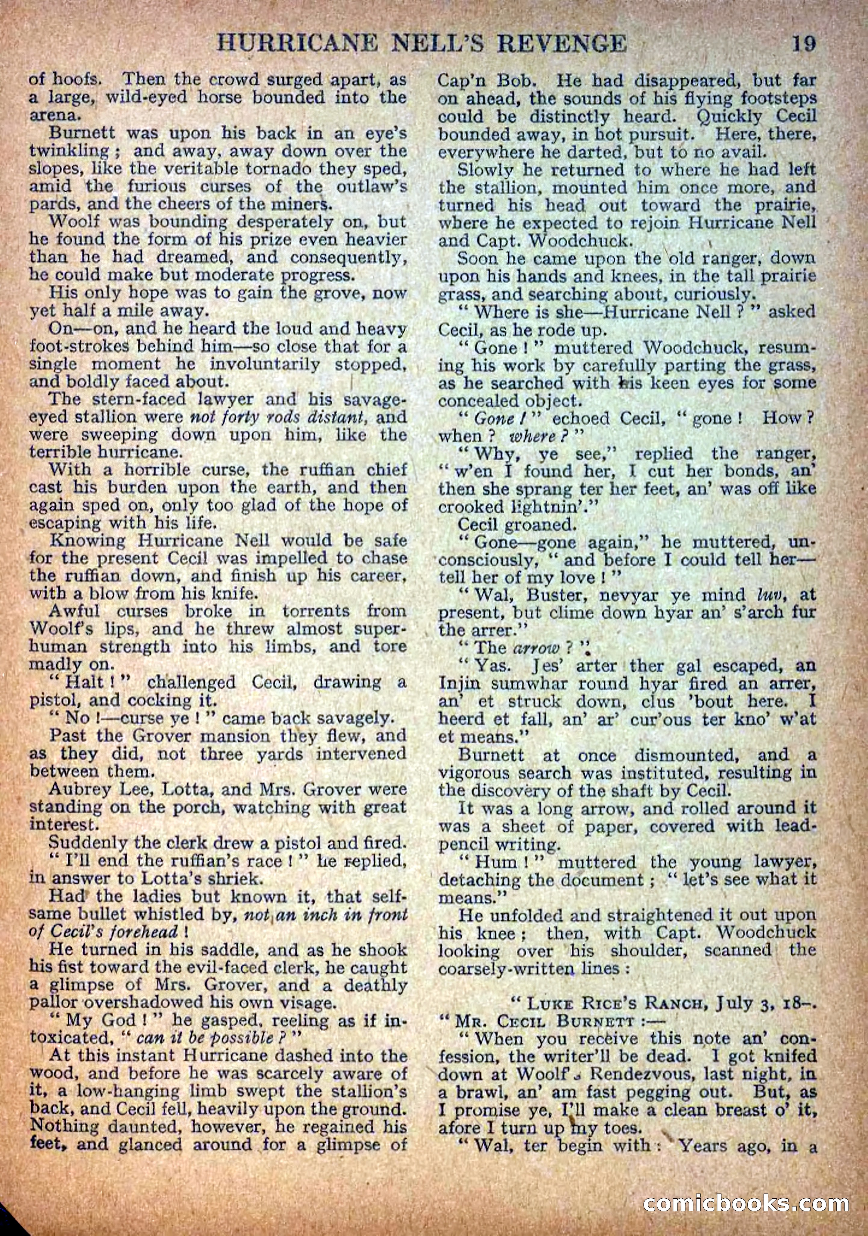 Deadwood Dick Library No. 9: Hurricane Nell's Revenge — page 21 of 36