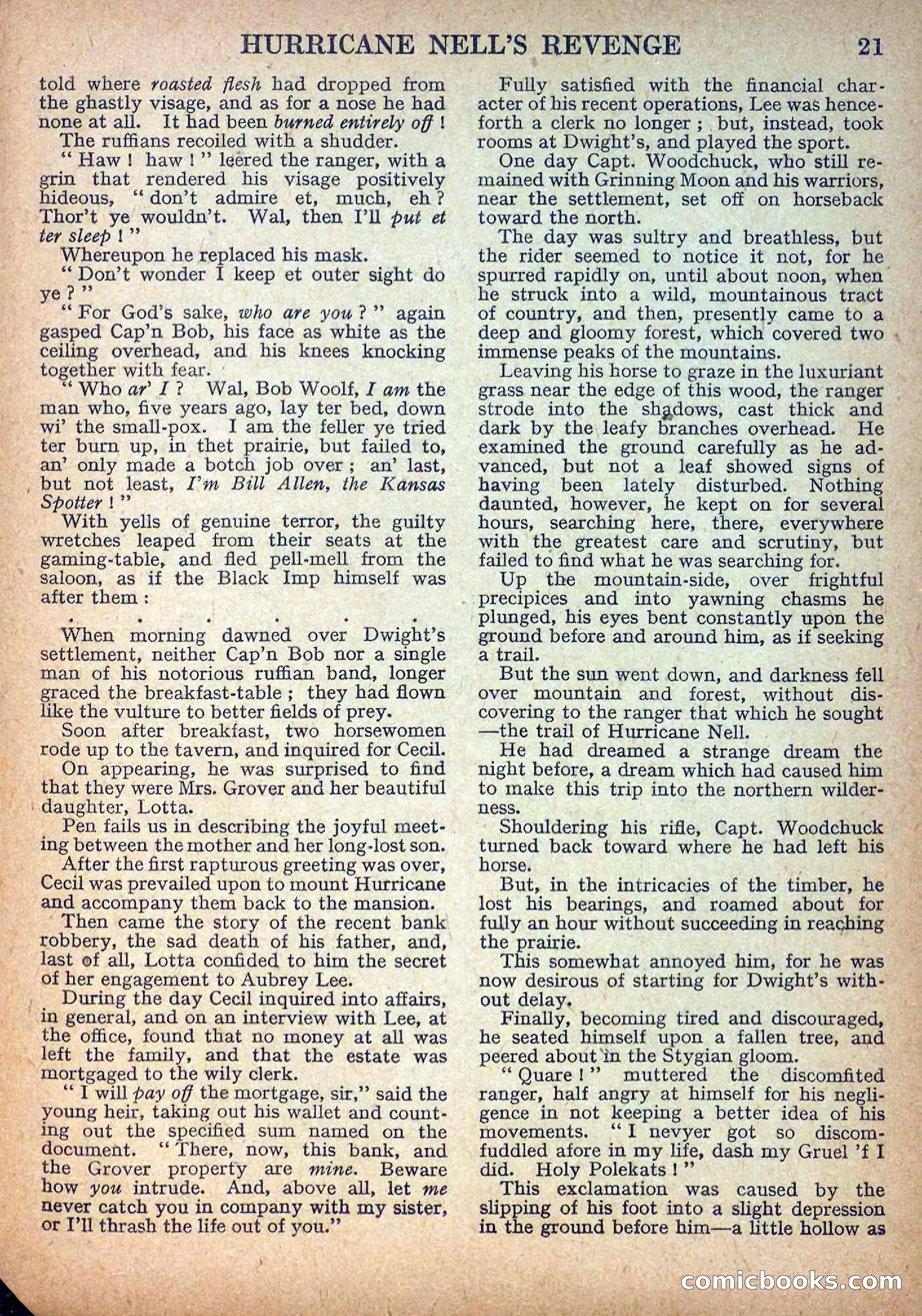 Deadwood Dick Library No. 9: Hurricane Nell's Revenge — page 23 of 36