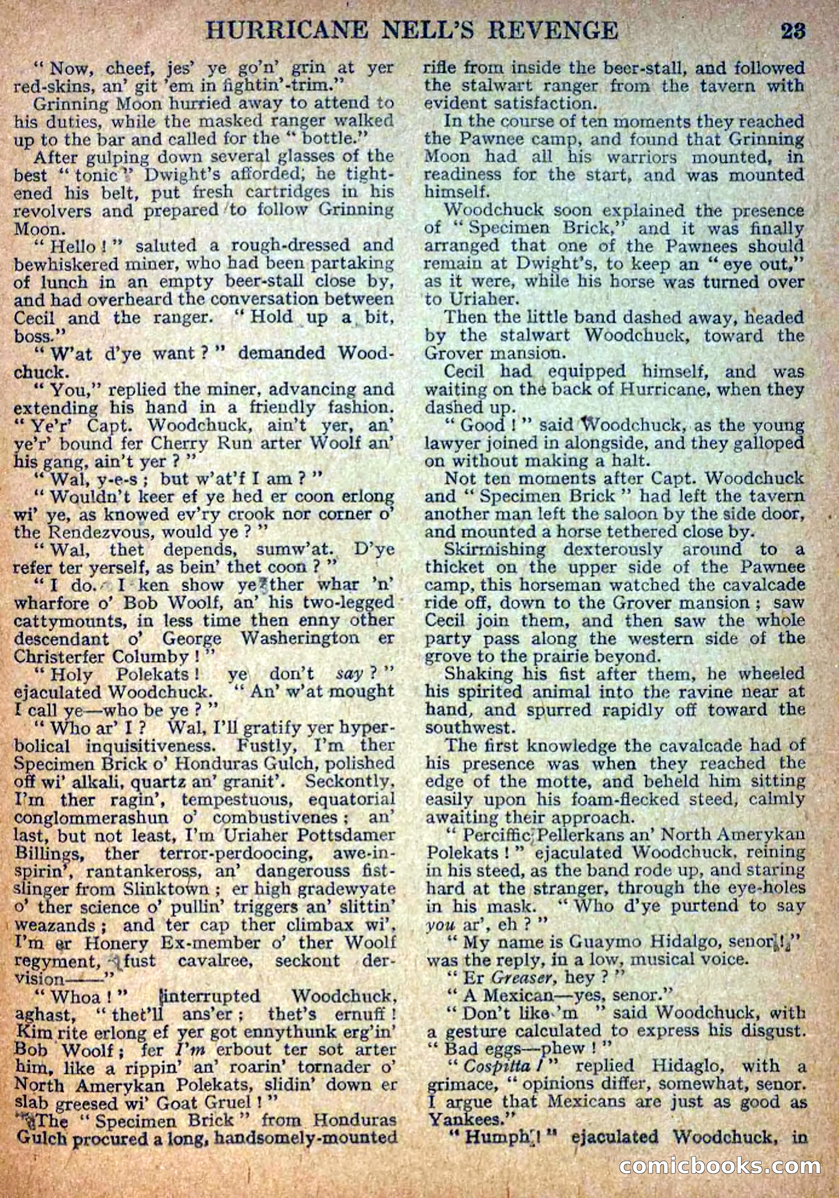 Deadwood Dick Library No. 9: Hurricane Nell's Revenge — page 25 of 36