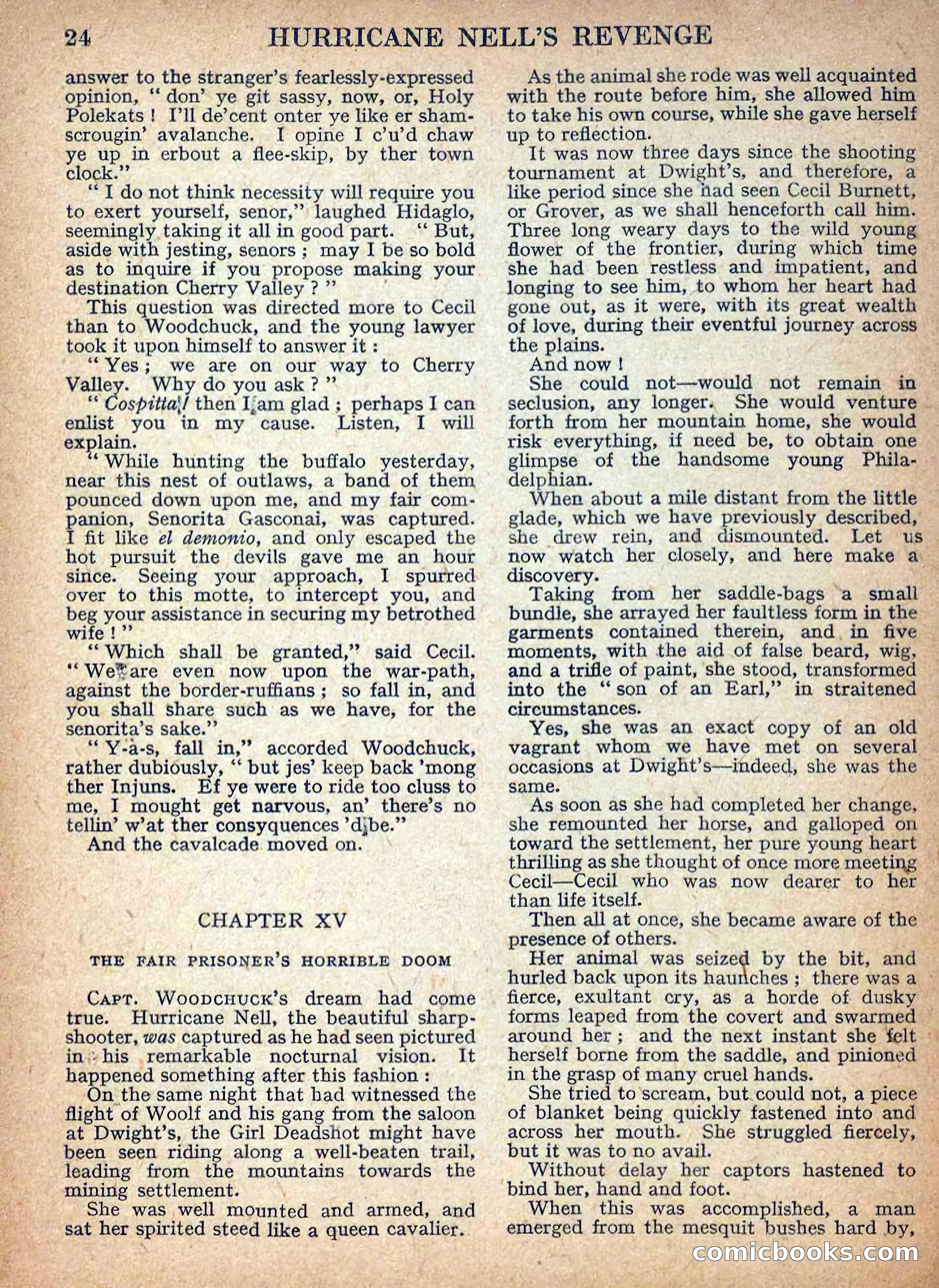 Deadwood Dick Library No. 9: Hurricane Nell's Revenge — page 26 of 36