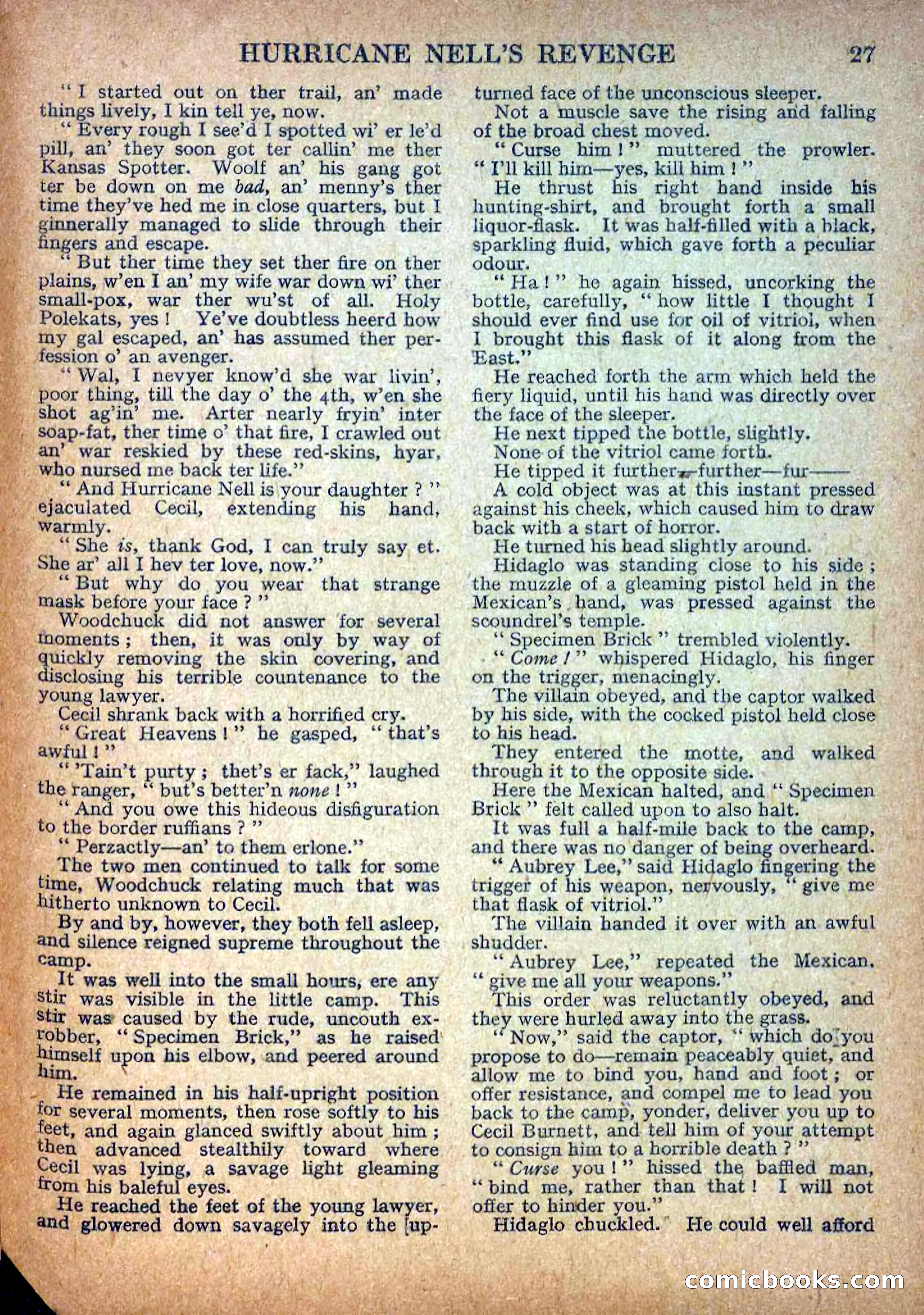 Deadwood Dick Library No. 9: Hurricane Nell's Revenge — page 29 of 36