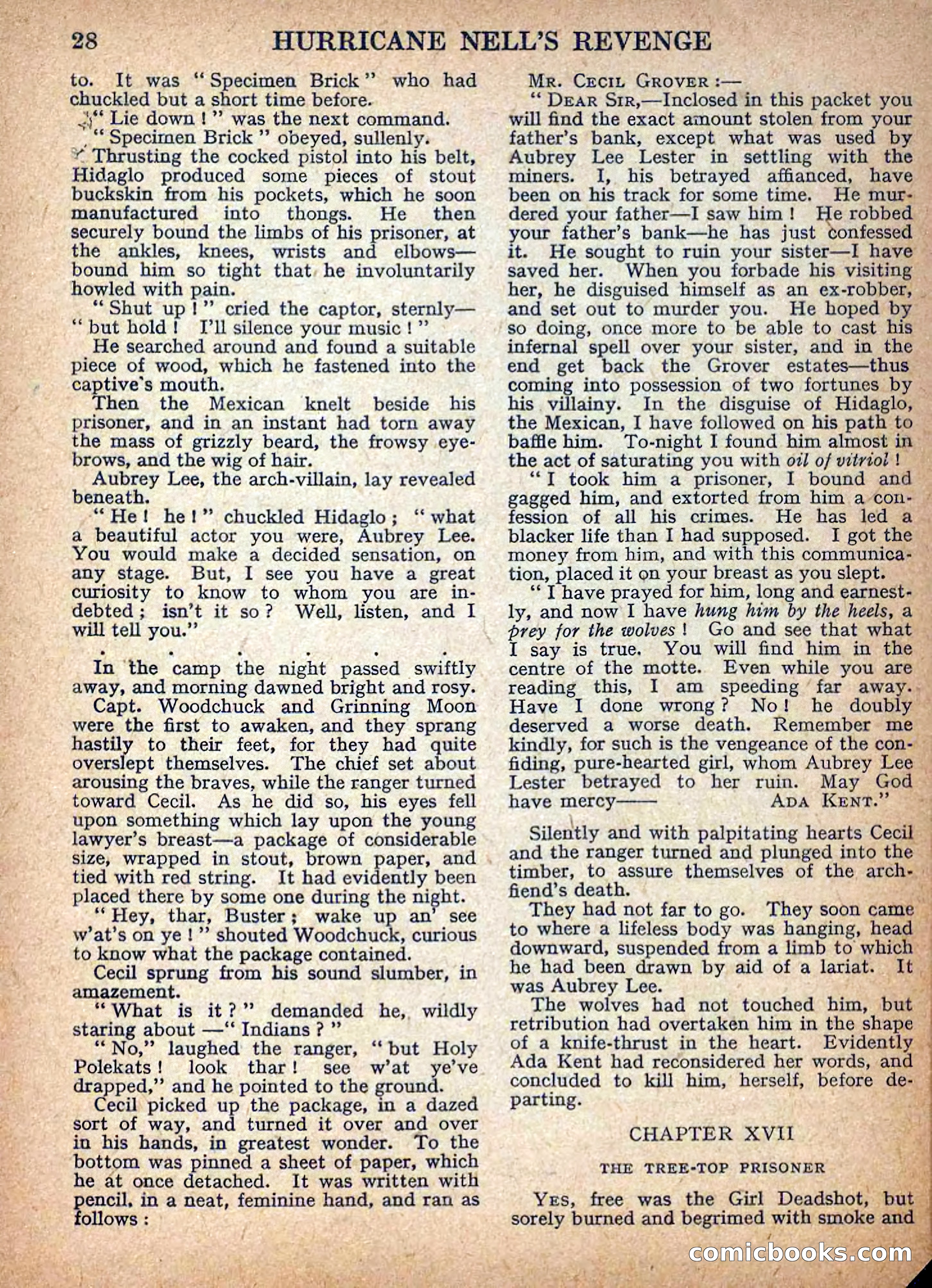 Deadwood Dick Library No. 9: Hurricane Nell's Revenge — page 30 of 36