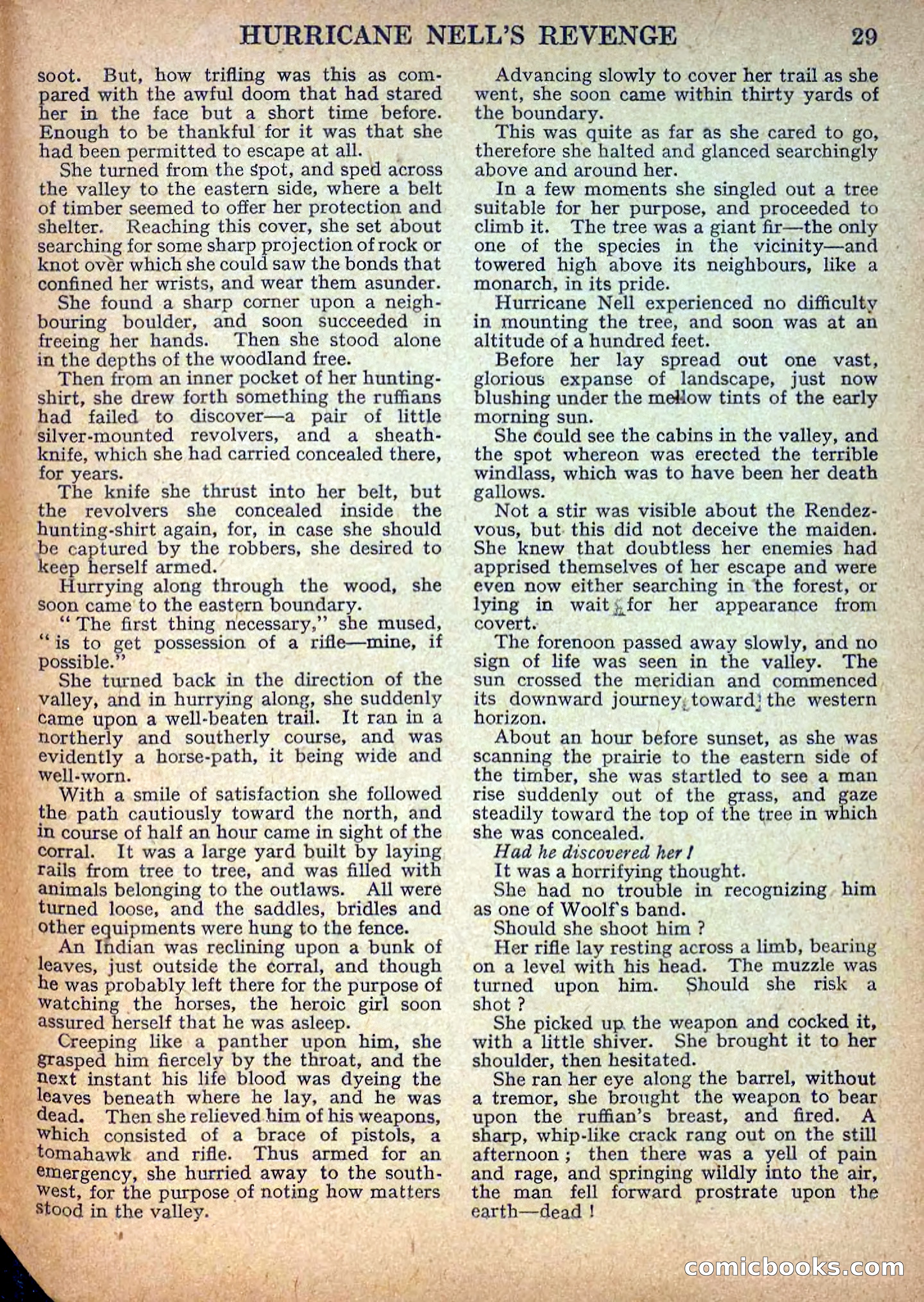 Deadwood Dick Library No. 9: Hurricane Nell's Revenge — page 31 of 36