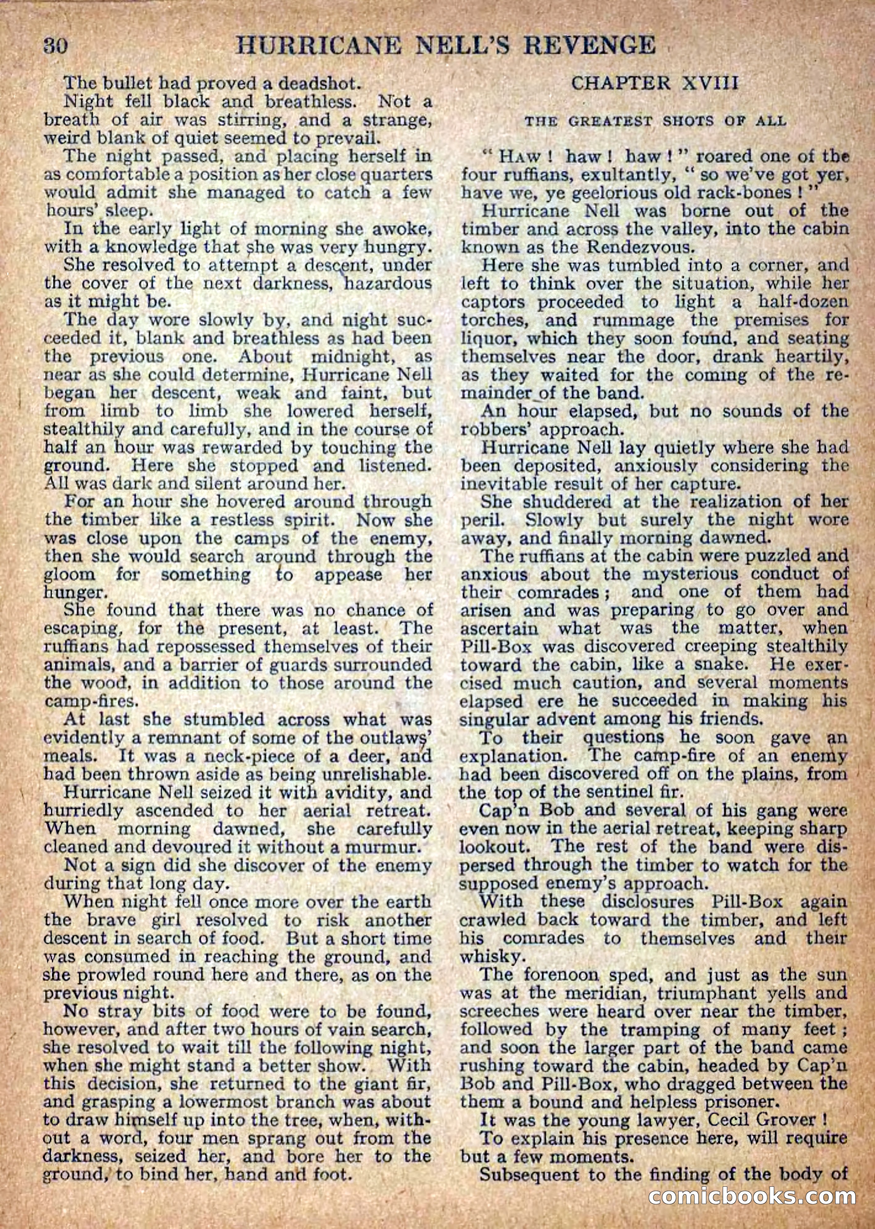 Deadwood Dick Library No. 9: Hurricane Nell's Revenge — page 32 of 36