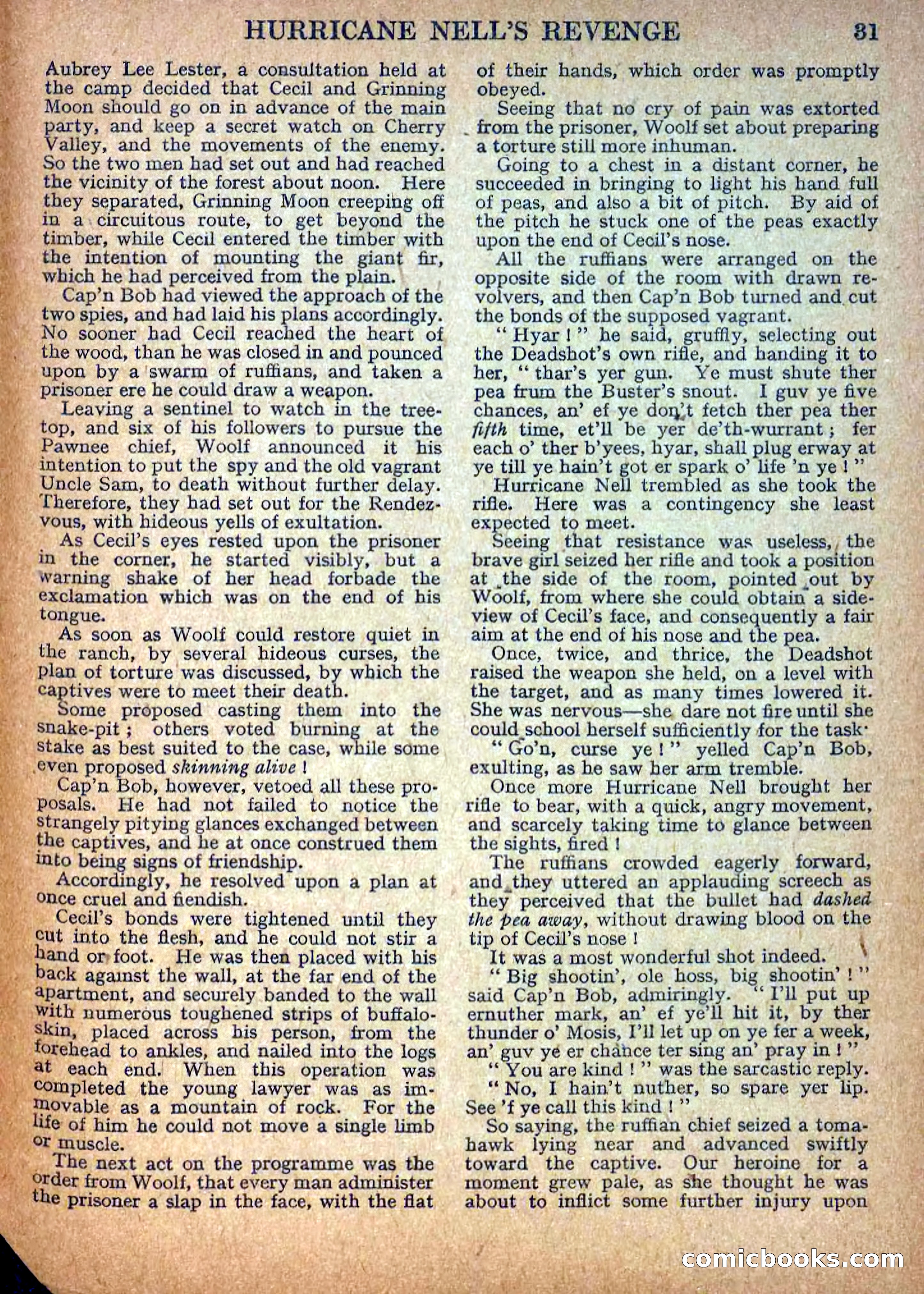 Deadwood Dick Library No. 9: Hurricane Nell's Revenge — page 33 of 36