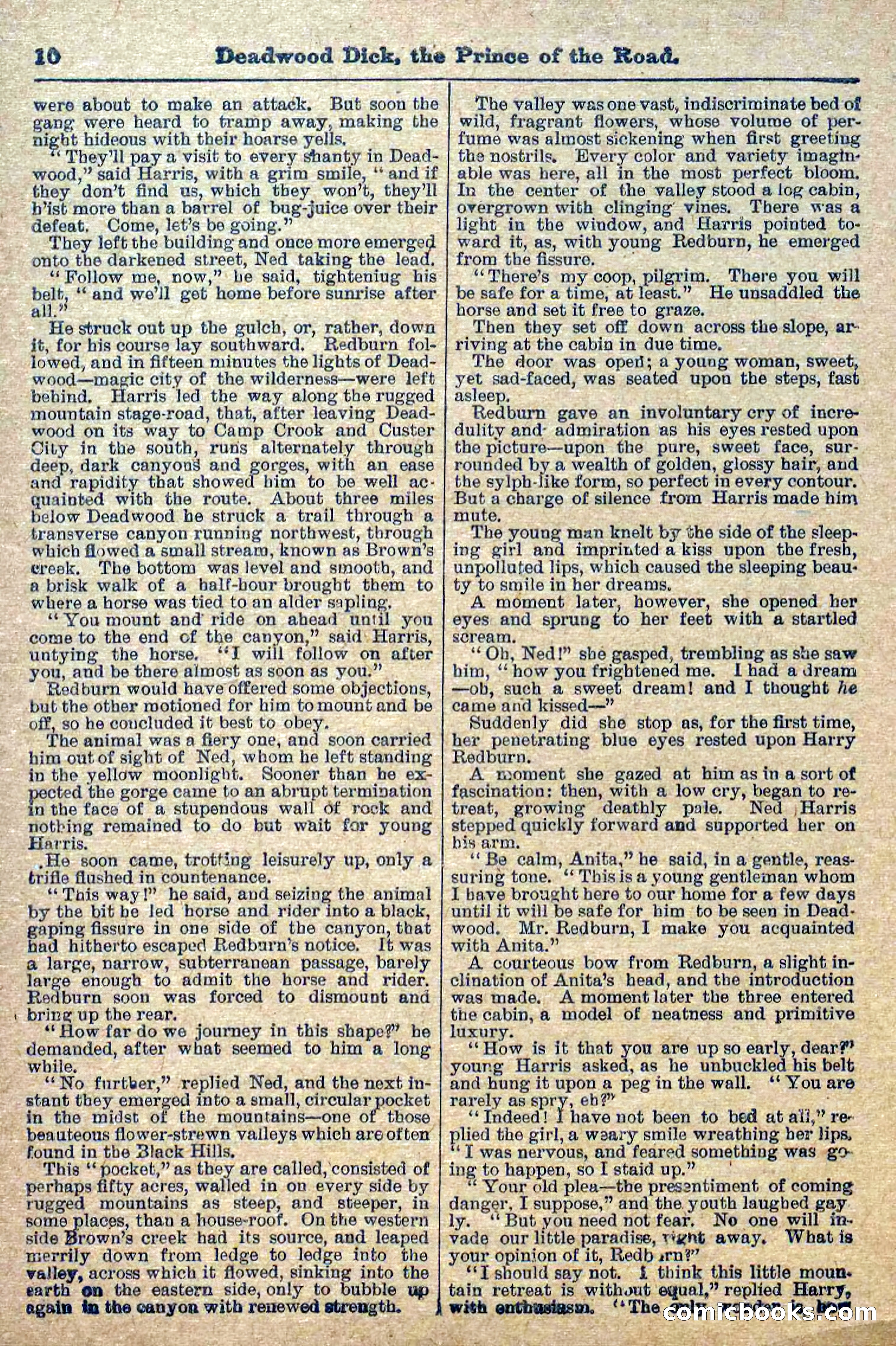 Deadwood Dick Library, Vol. 1, No. 1 — page 12 of 40
