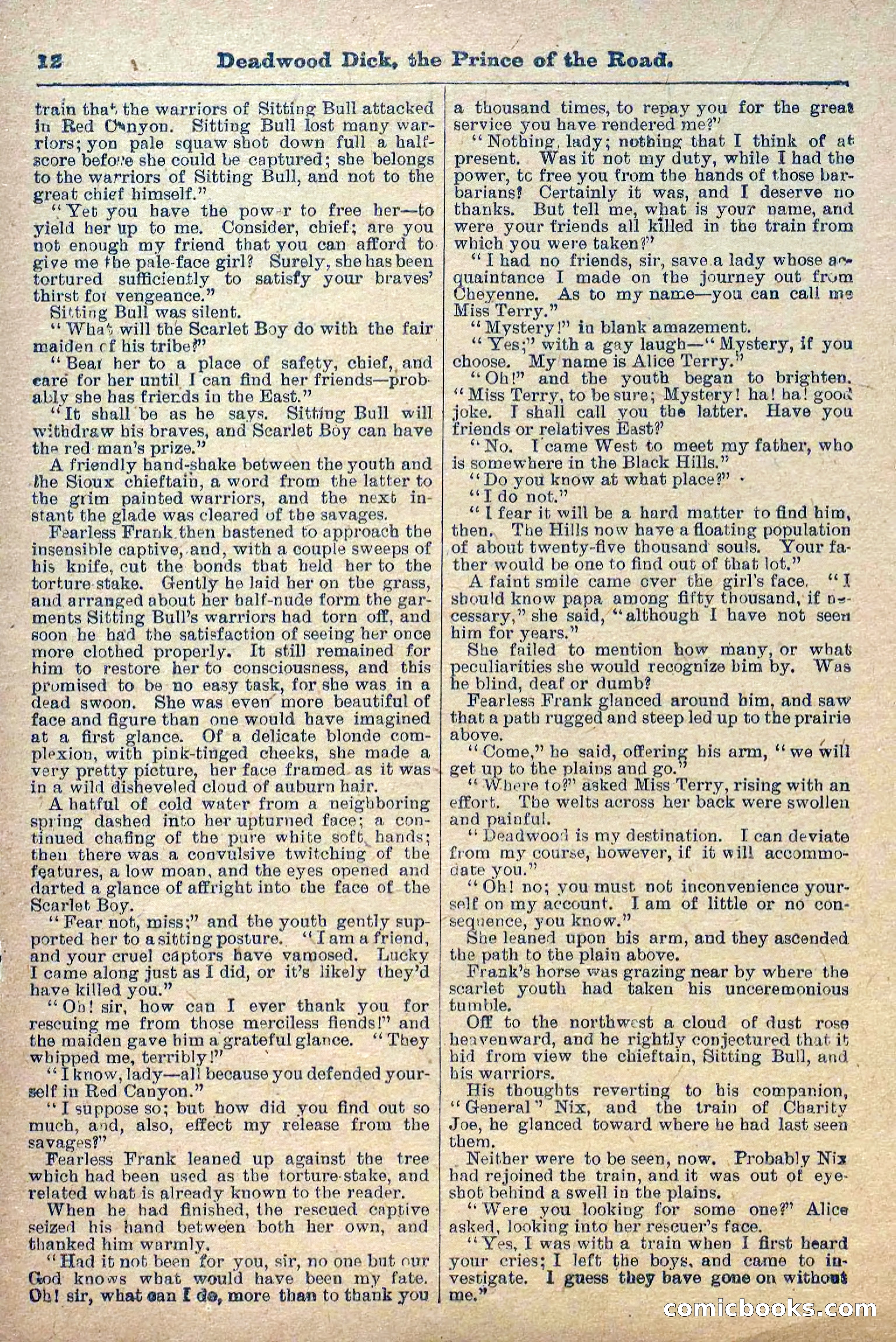 Deadwood Dick Library, Vol. 1, No. 1 — page 14 of 40