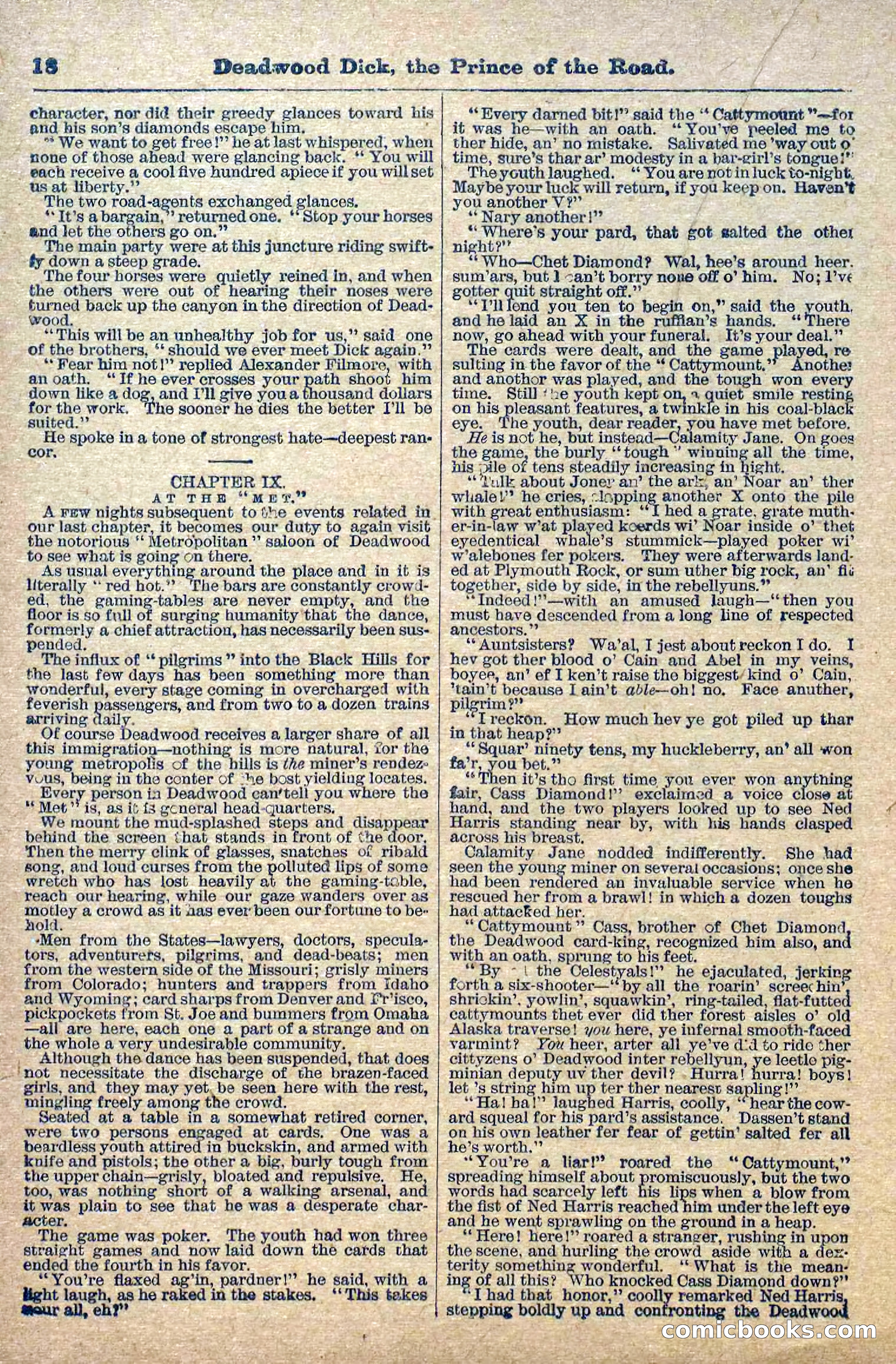 Deadwood Dick Library, Vol. 1, No. 1 — page 20 of 40