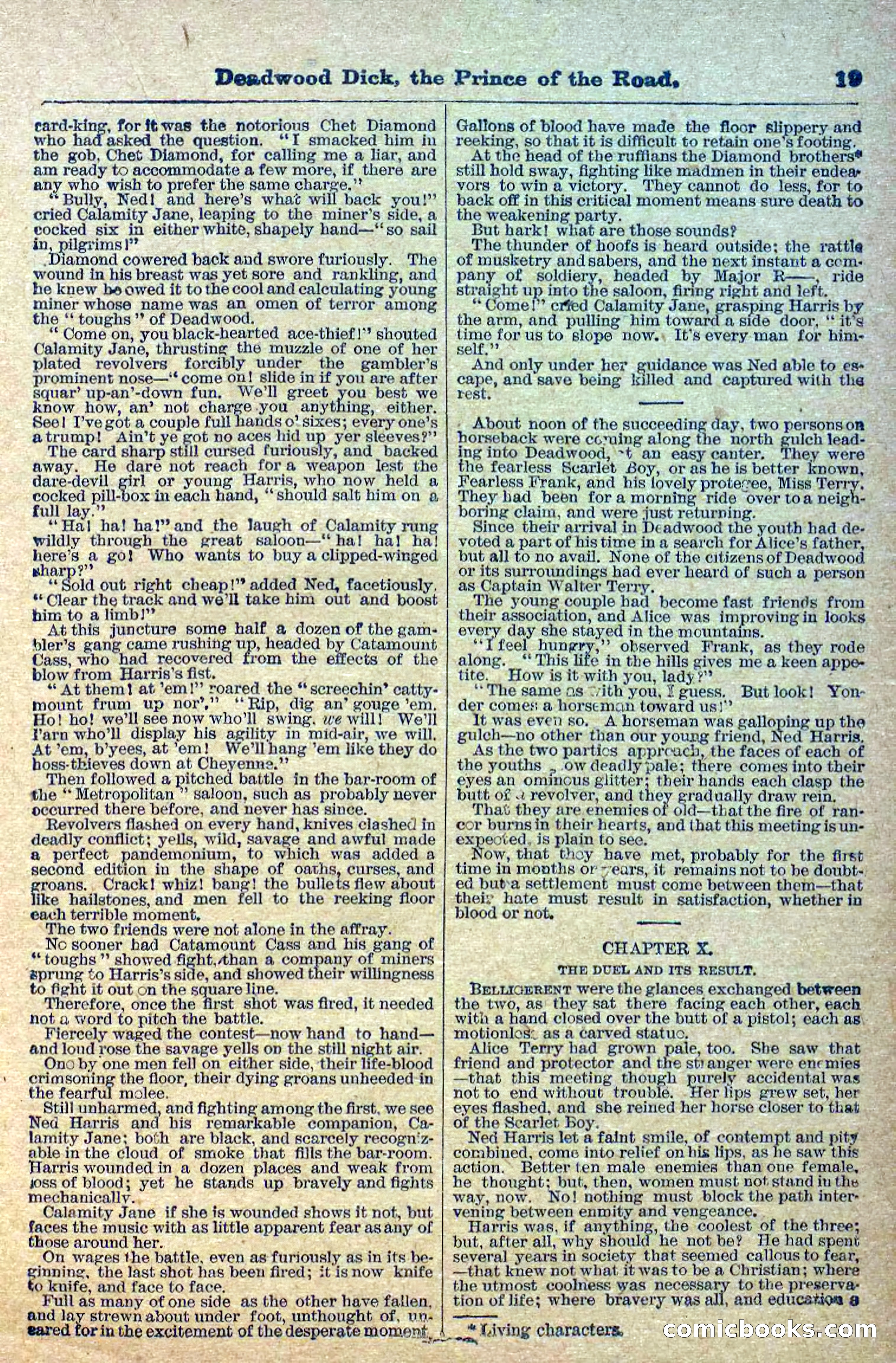 Deadwood Dick Library, Vol. 1, No. 1 — page 21 of 40