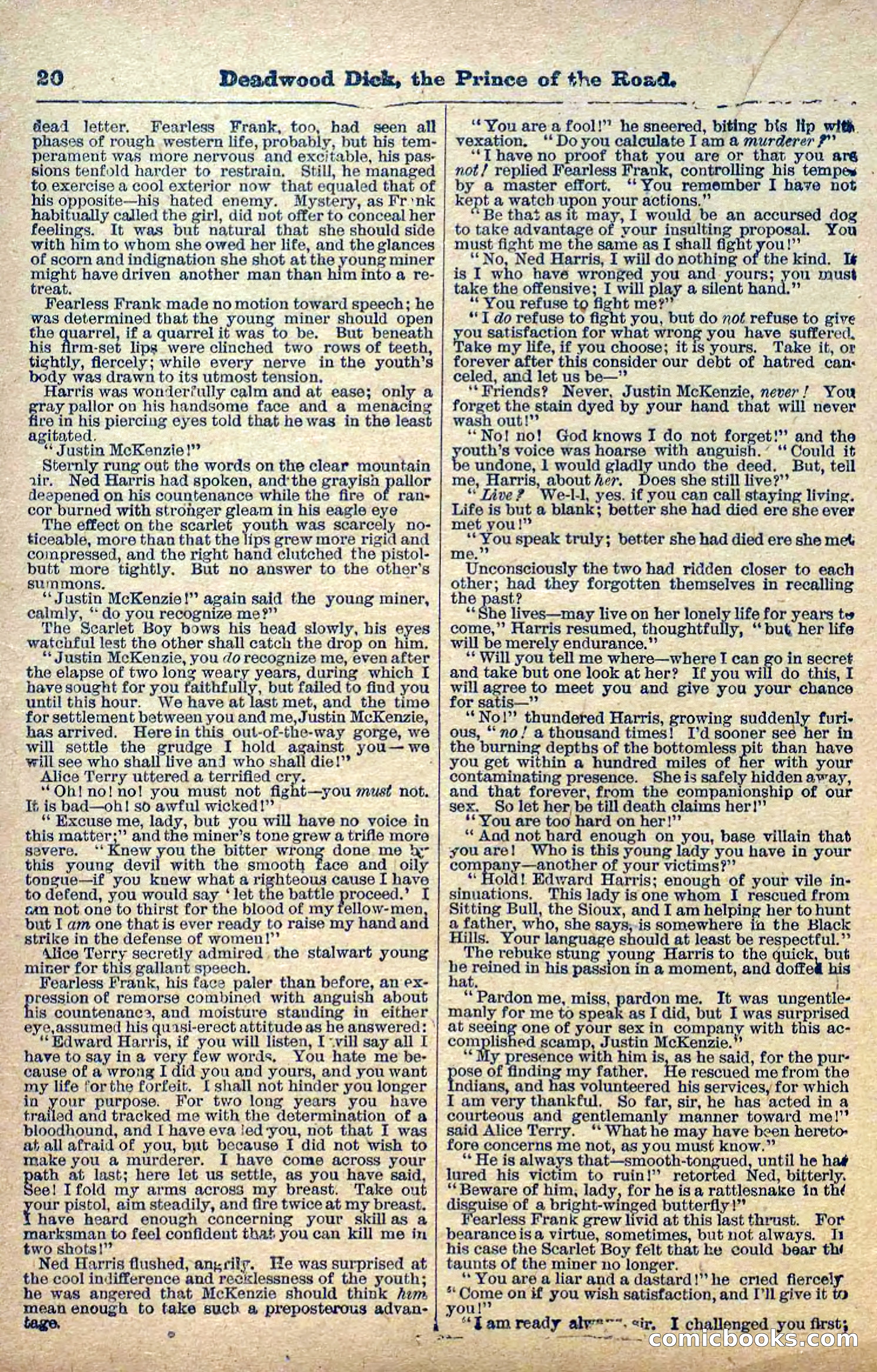 Deadwood Dick Library, Vol. 1, No. 1 — page 22 of 40