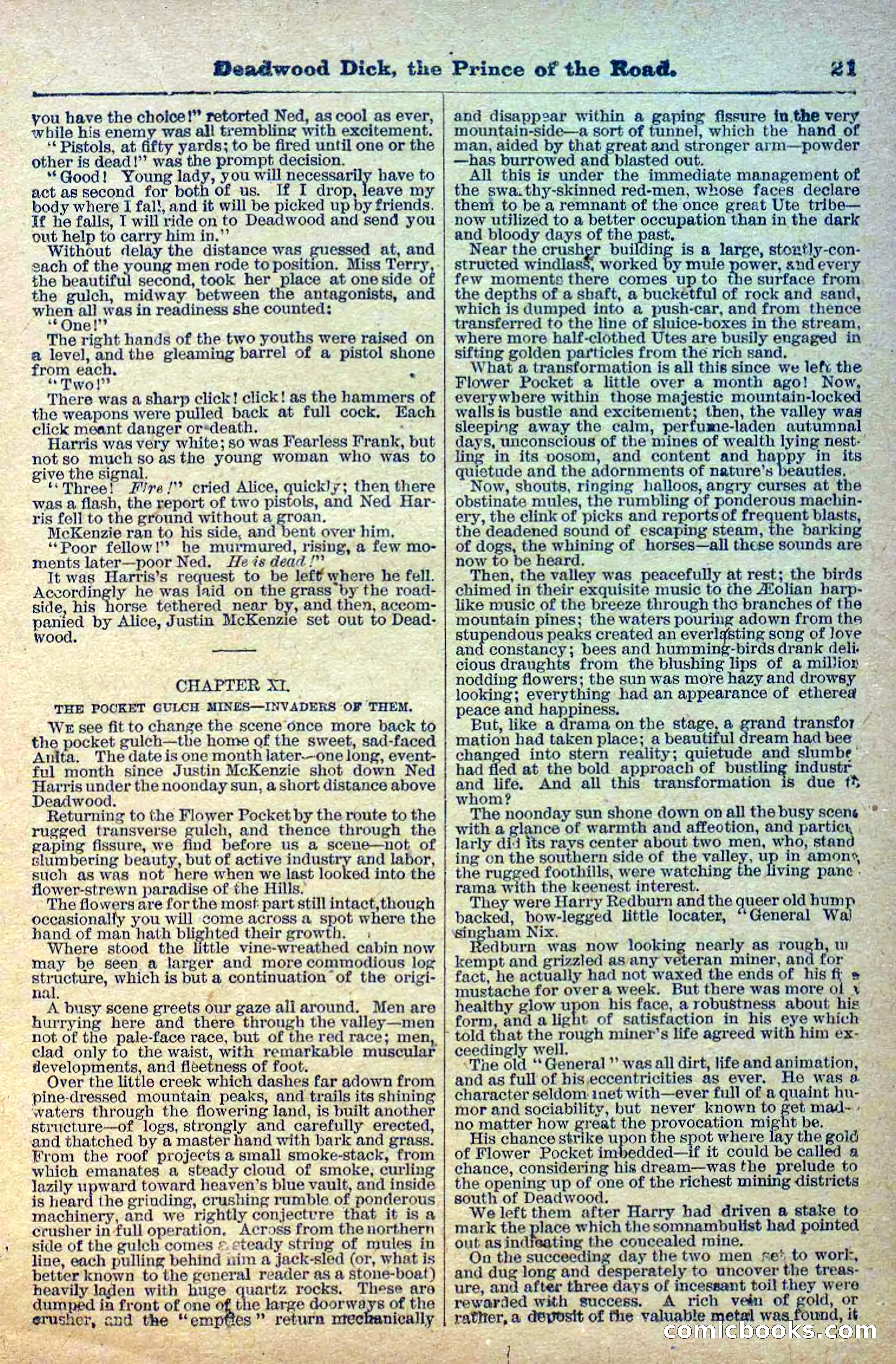 Deadwood Dick Library, Vol. 1, No. 1 — page 23 of 40