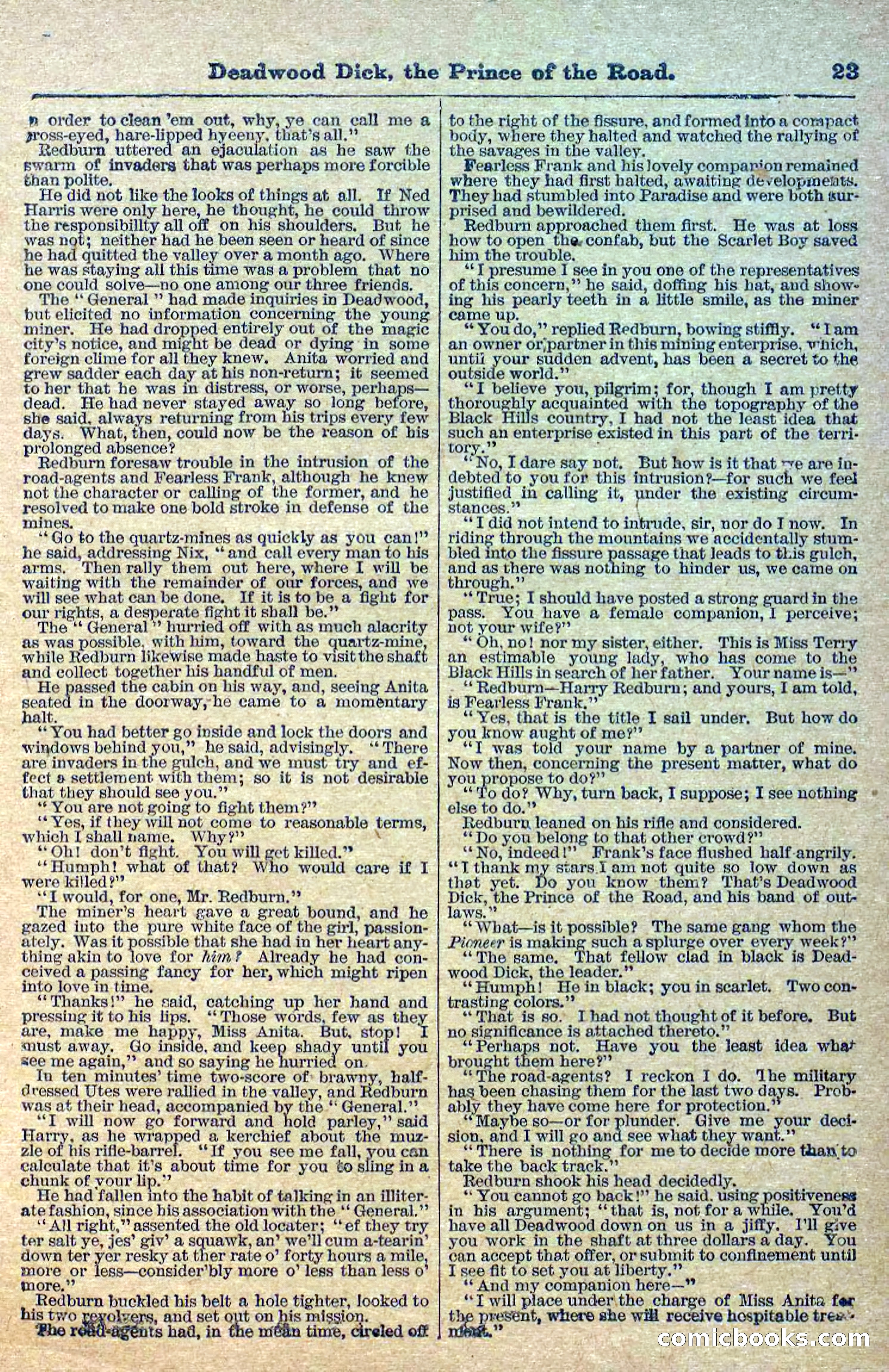 Deadwood Dick Library, Vol. 1, No. 1 — page 25 of 40