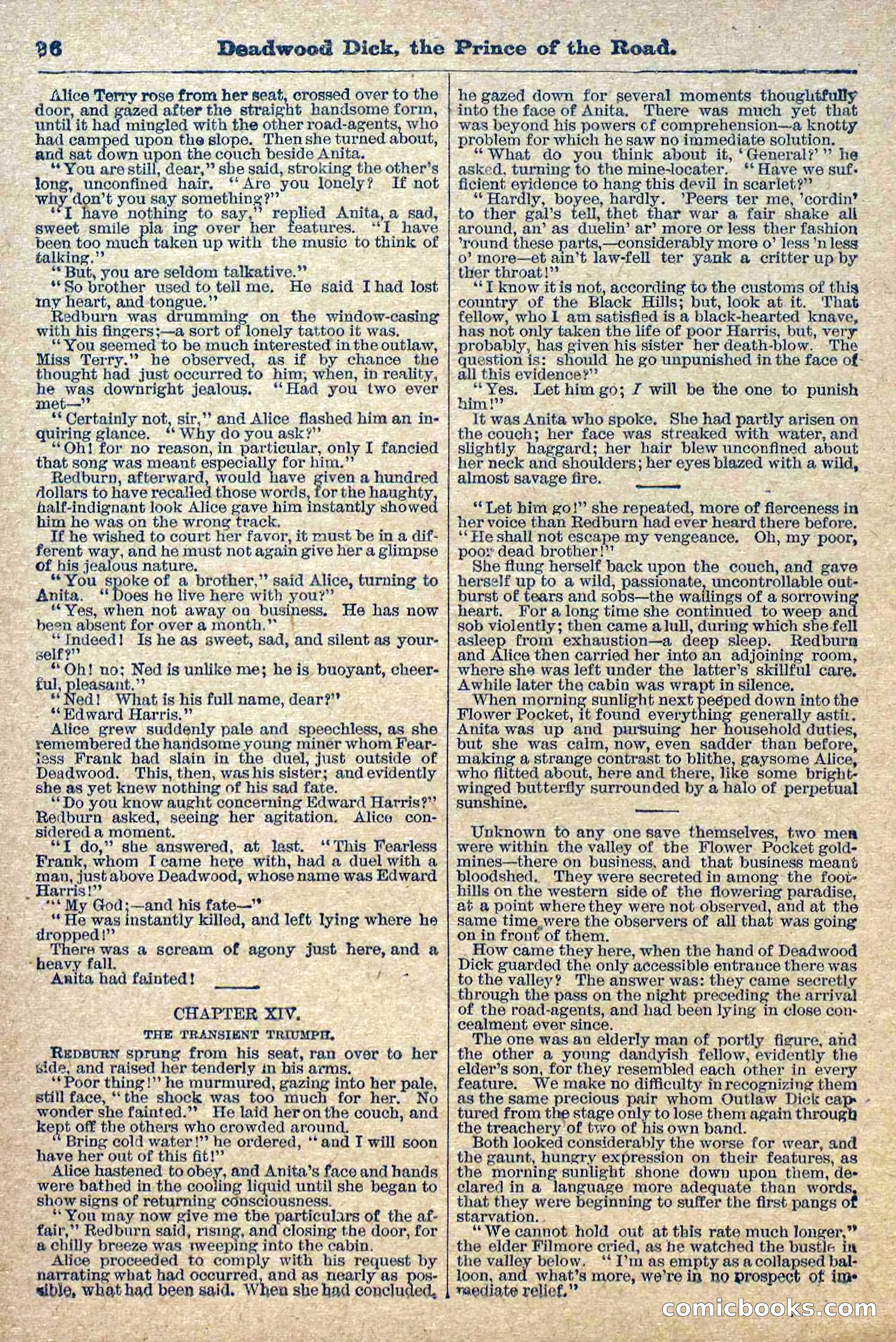 Deadwood Dick Library, Vol. 1, No. 1 — page 28 of 40