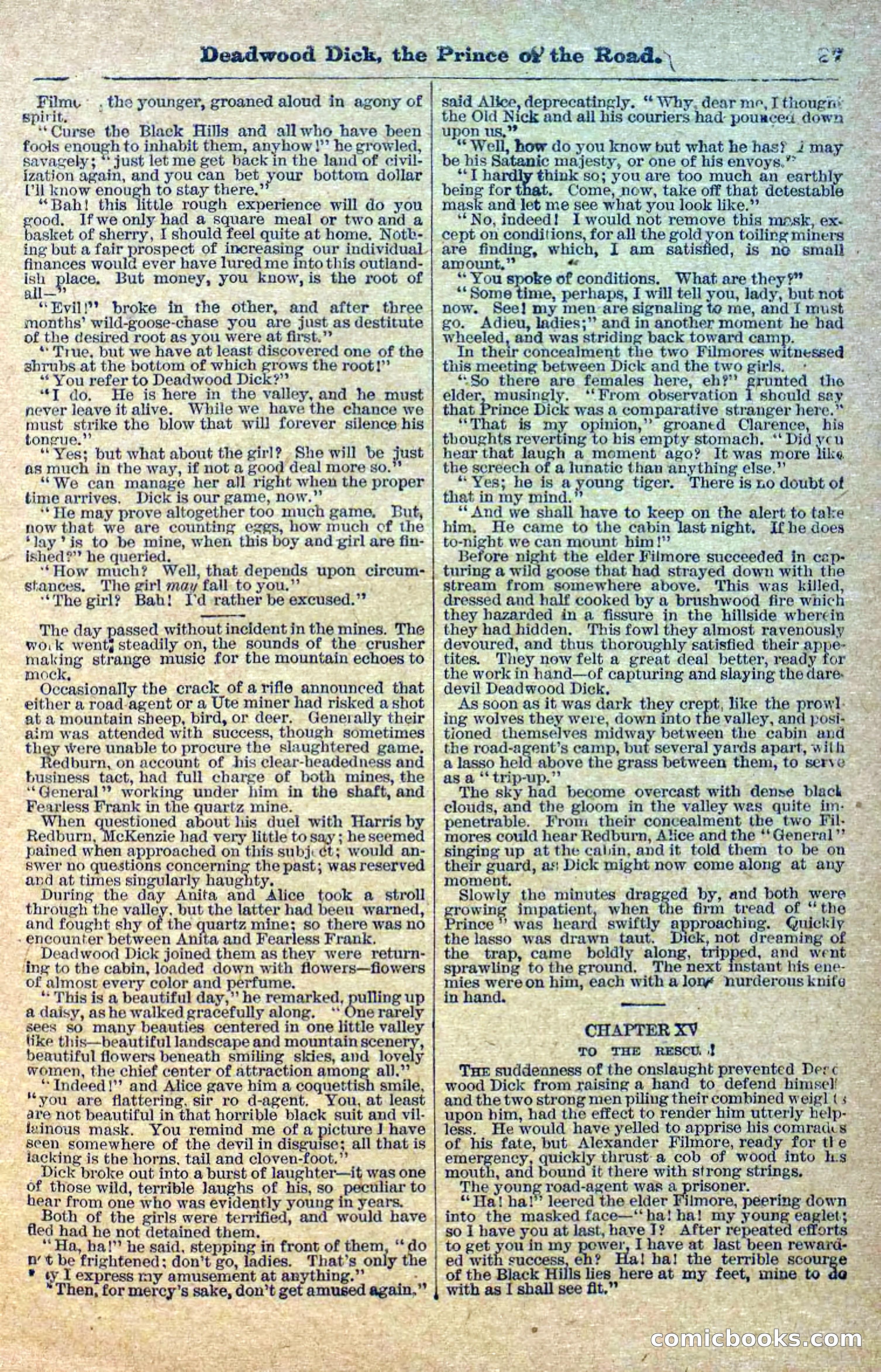 Deadwood Dick Library, Vol. 1, No. 1 — page 29 of 40