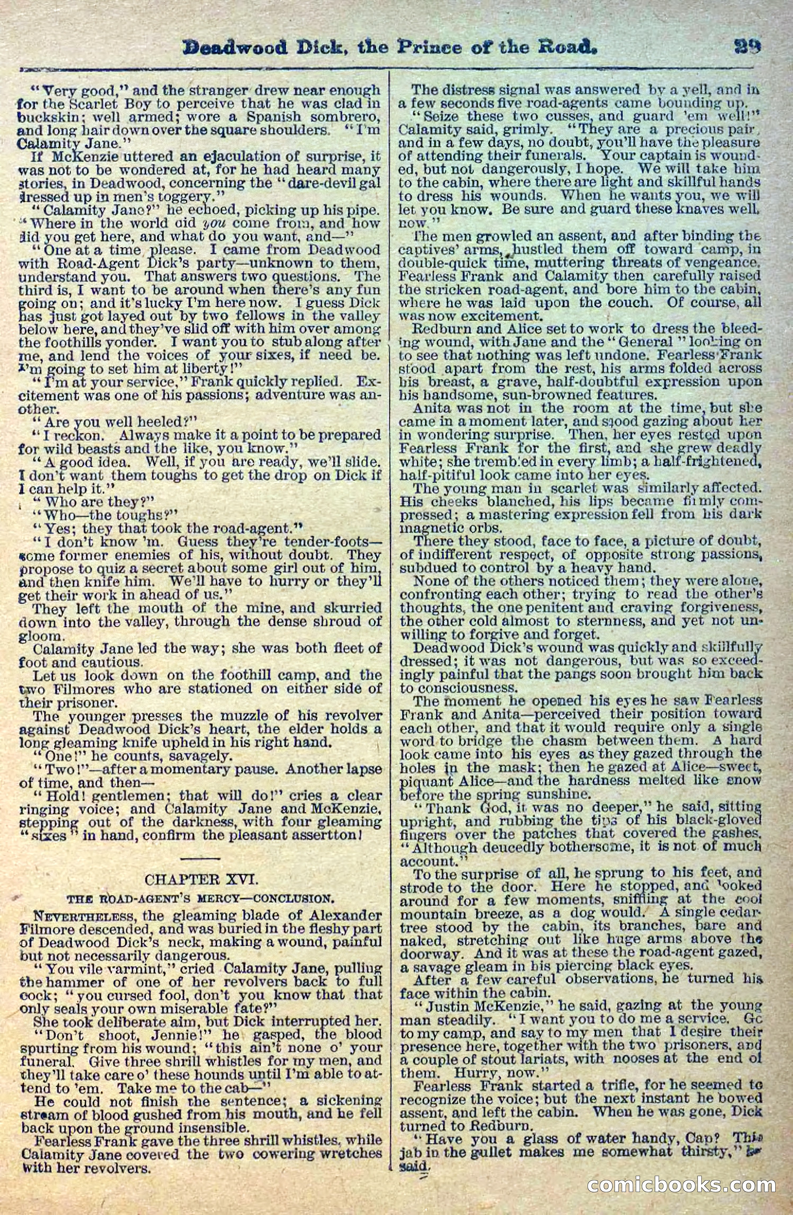 Deadwood Dick Library, Vol. 1, No. 1 — page 31 of 40